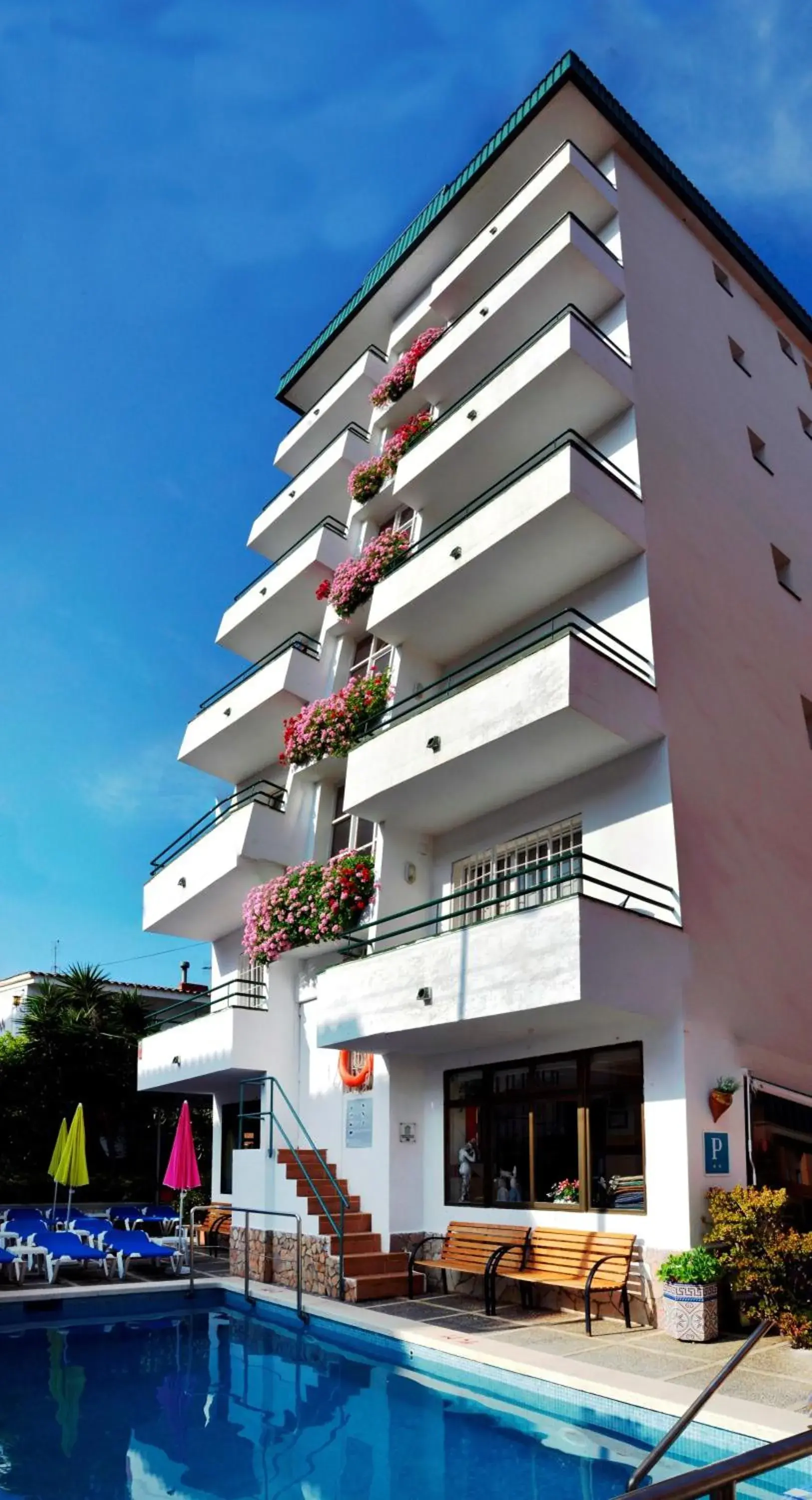 Facade/entrance in Hostal Magnolia Facade/entrance in Hostal Magnolia