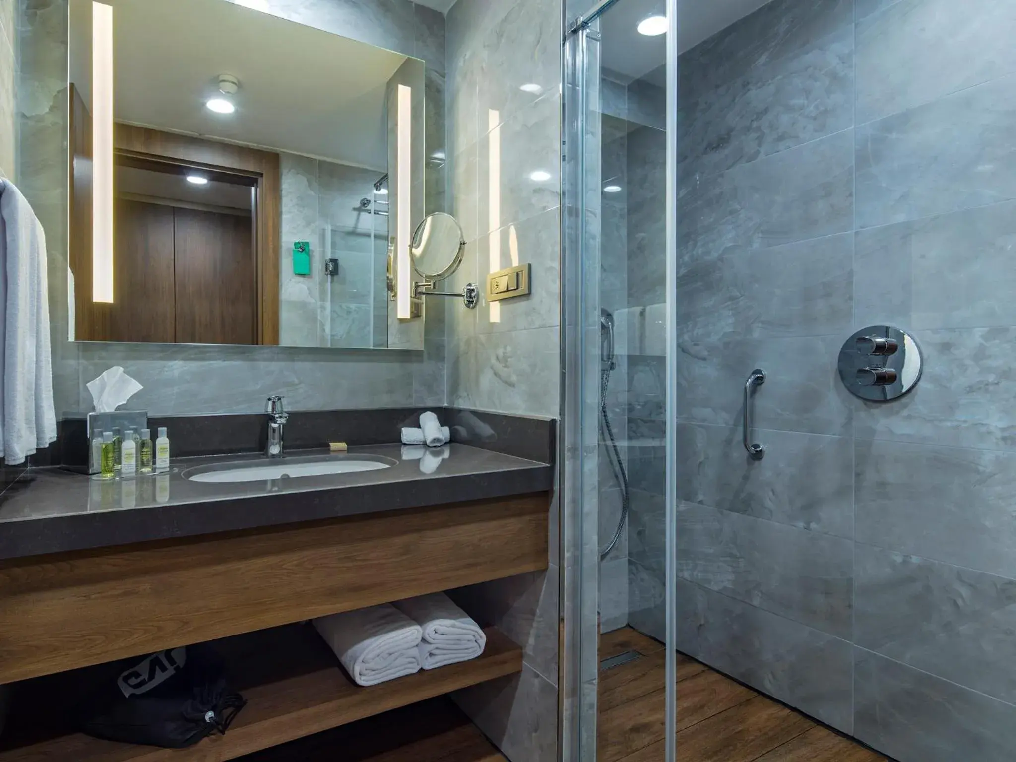 Deluxe King Room in Hilton Garden Inn Yalova Deluxe King Room in Hilton Garden Inn Yalova