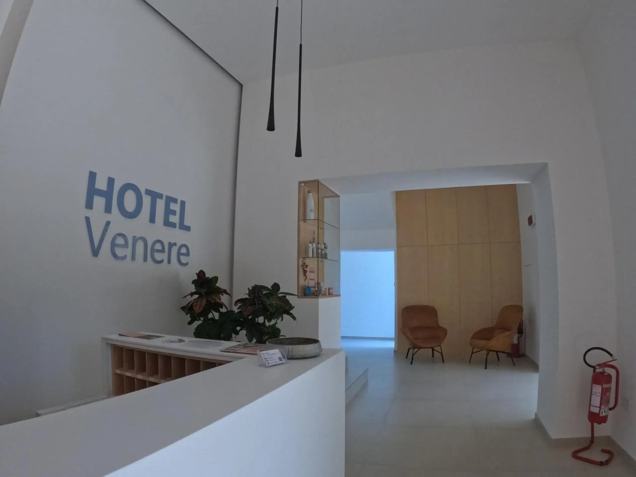 Lobby or reception in Hotel Venere Lobby or reception in Hotel Venere