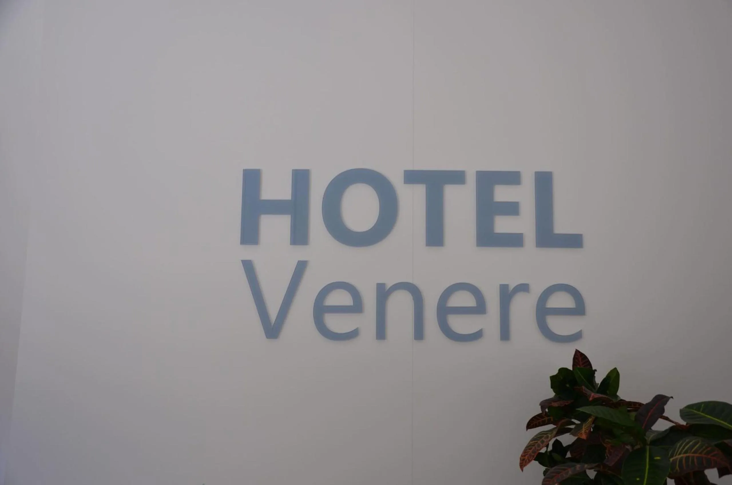 Property logo or sign in Hotel Venere