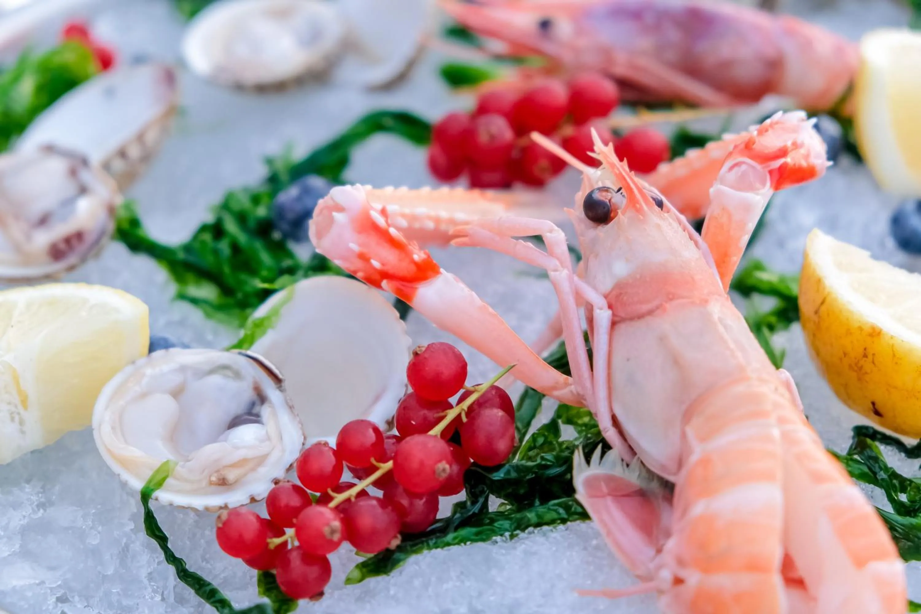 Restaurant/places to eat in Villa Aragonese Rooms