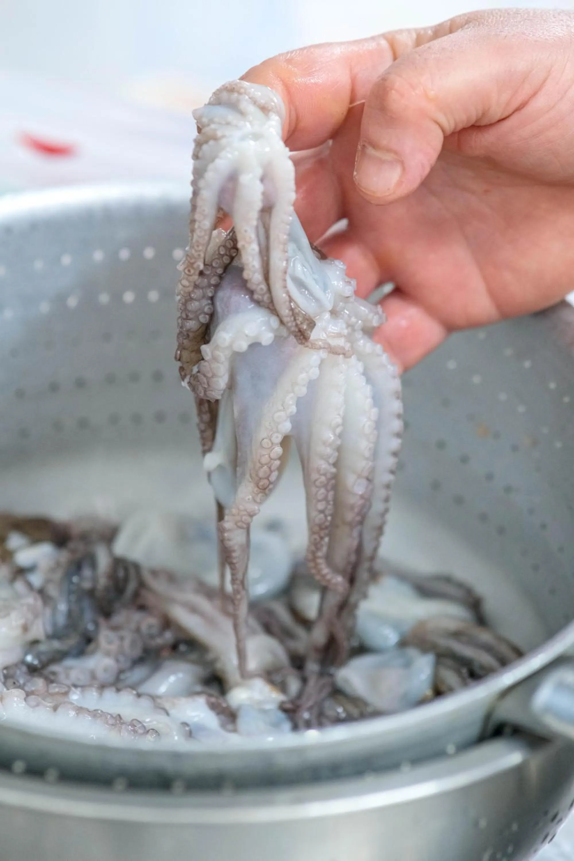 Restaurant/places to eat in Villa Aragonese Rooms