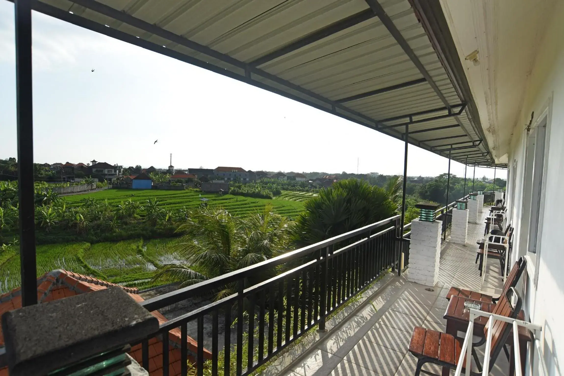Balcony/Terrace in Grandpa Guest House Balcony/Terrace in Grandpa Guest House