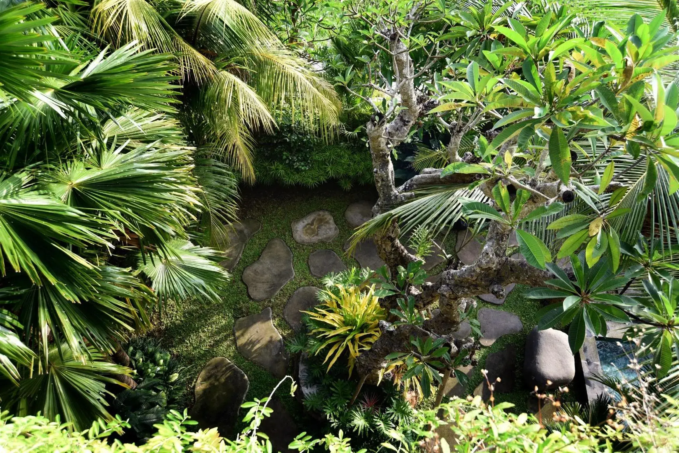 Garden view in Grandpa Guest House Garden view in Grandpa Guest House