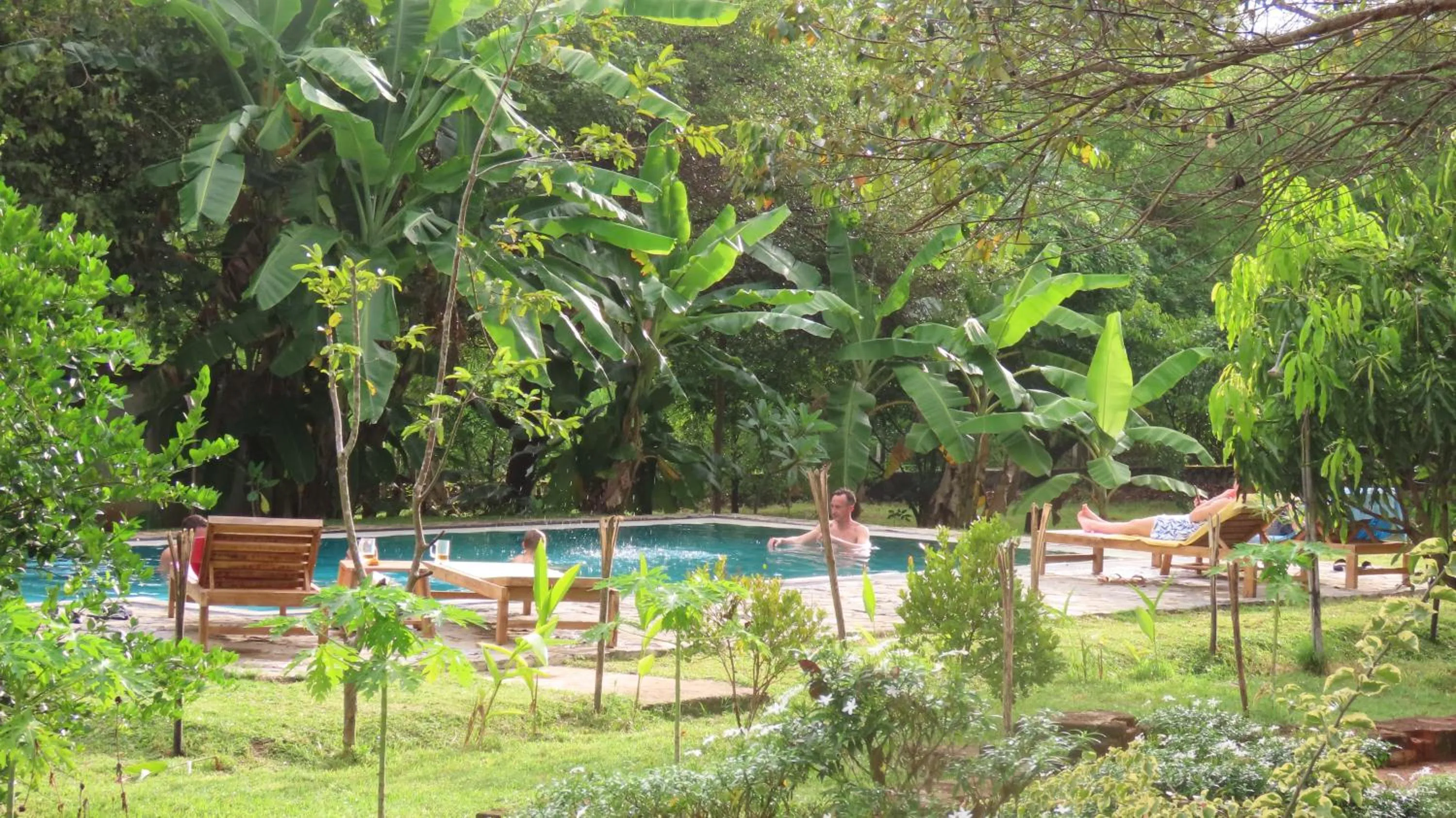 Pool view in Into The Wild Sigiriya