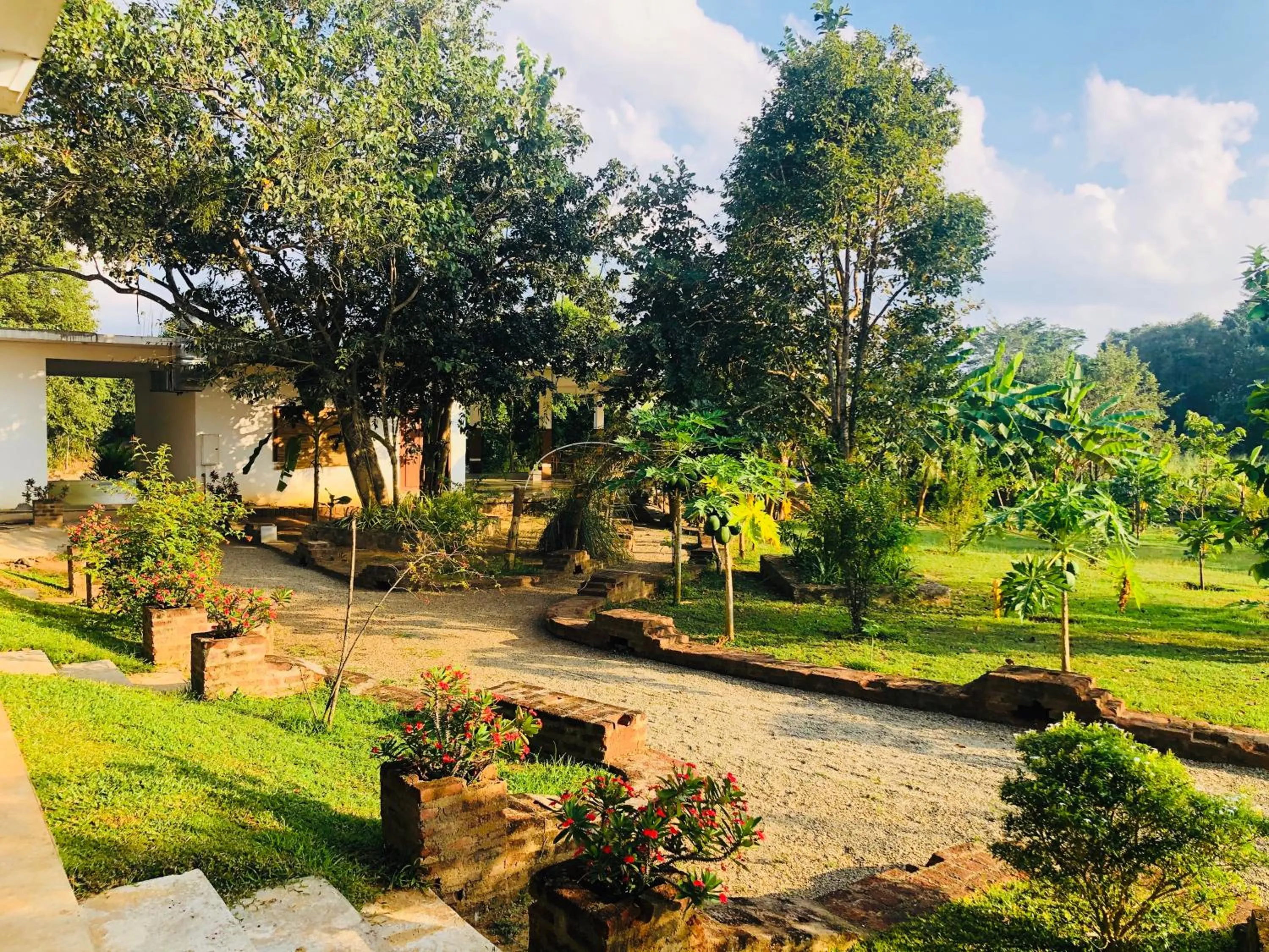Garden in Into The Wild Sigiriya