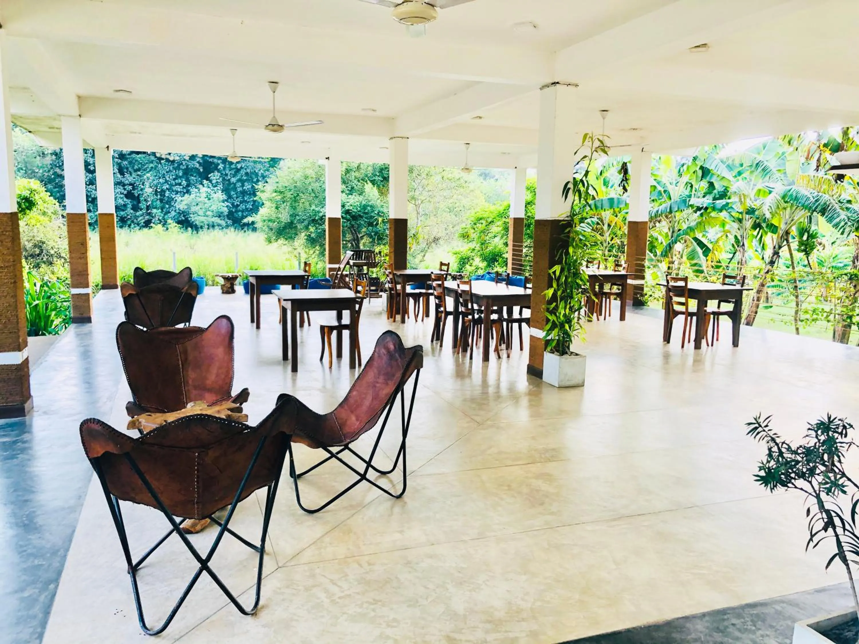 Restaurant/places to eat in Into The Wild Sigiriya