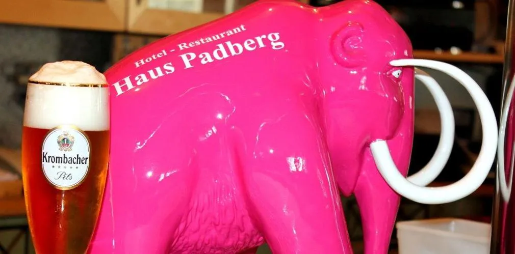 Restaurant/places to eat in Haus Padberg