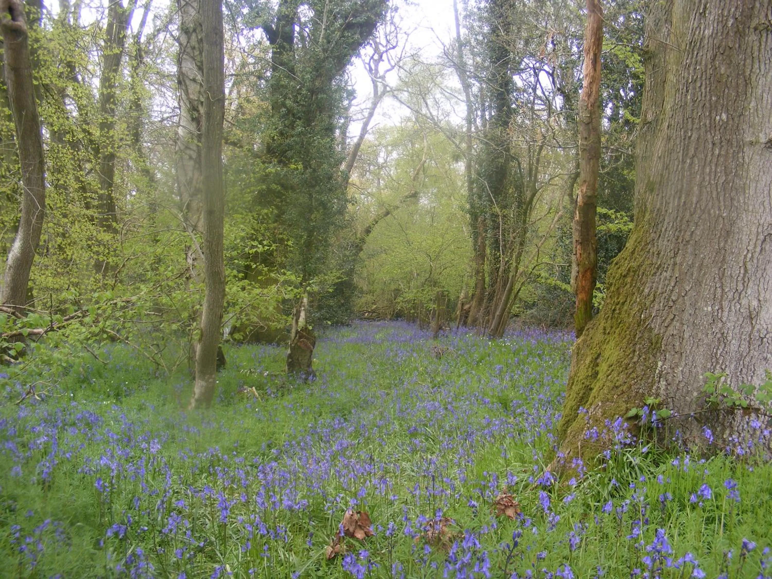 Property building in Marshwood Farm B&B and Shepherds Hut