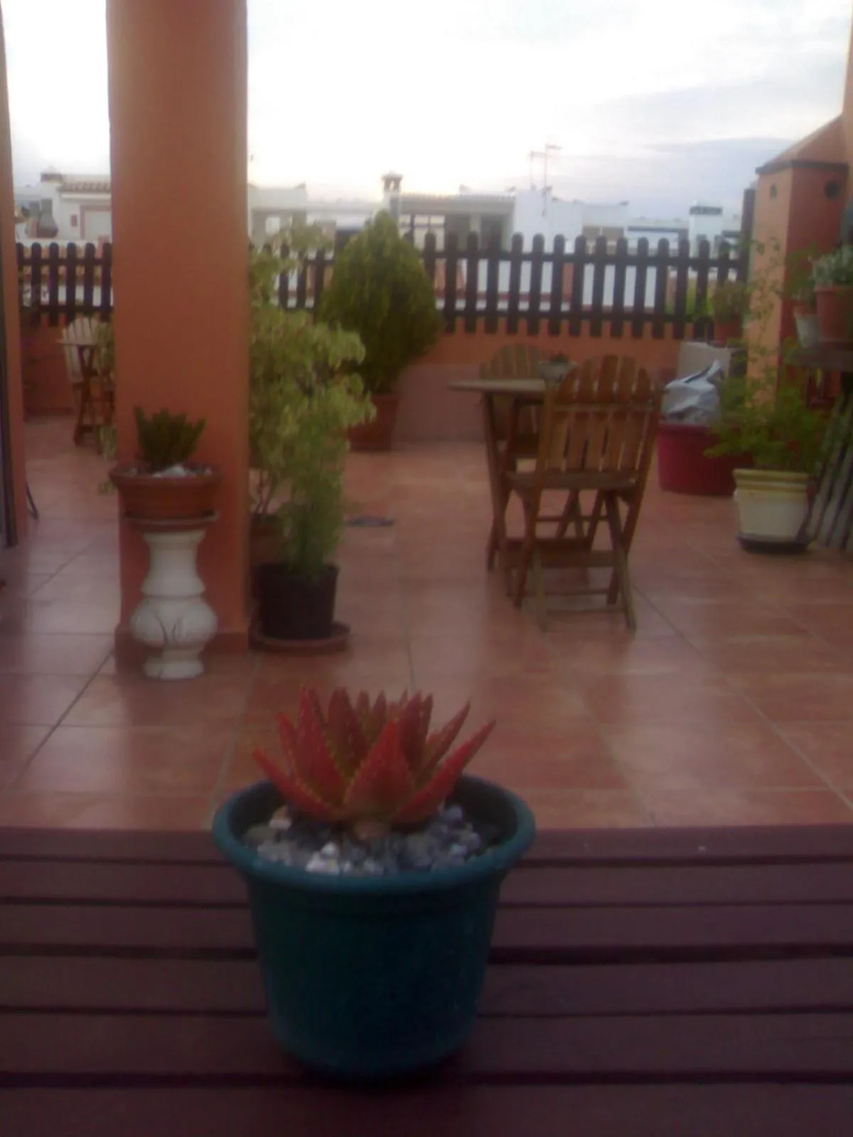 Solarium in Hospederia V Centenario