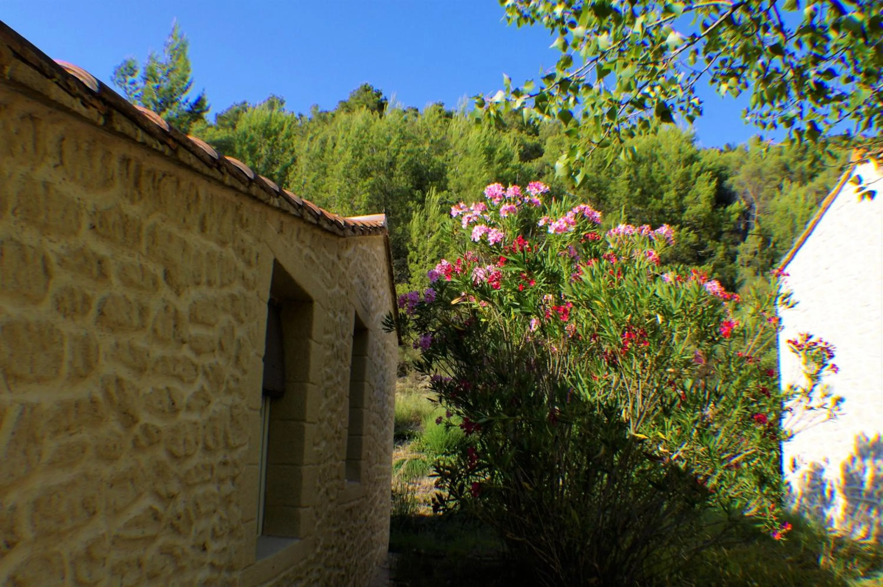 Spring in Domaine de bois joli