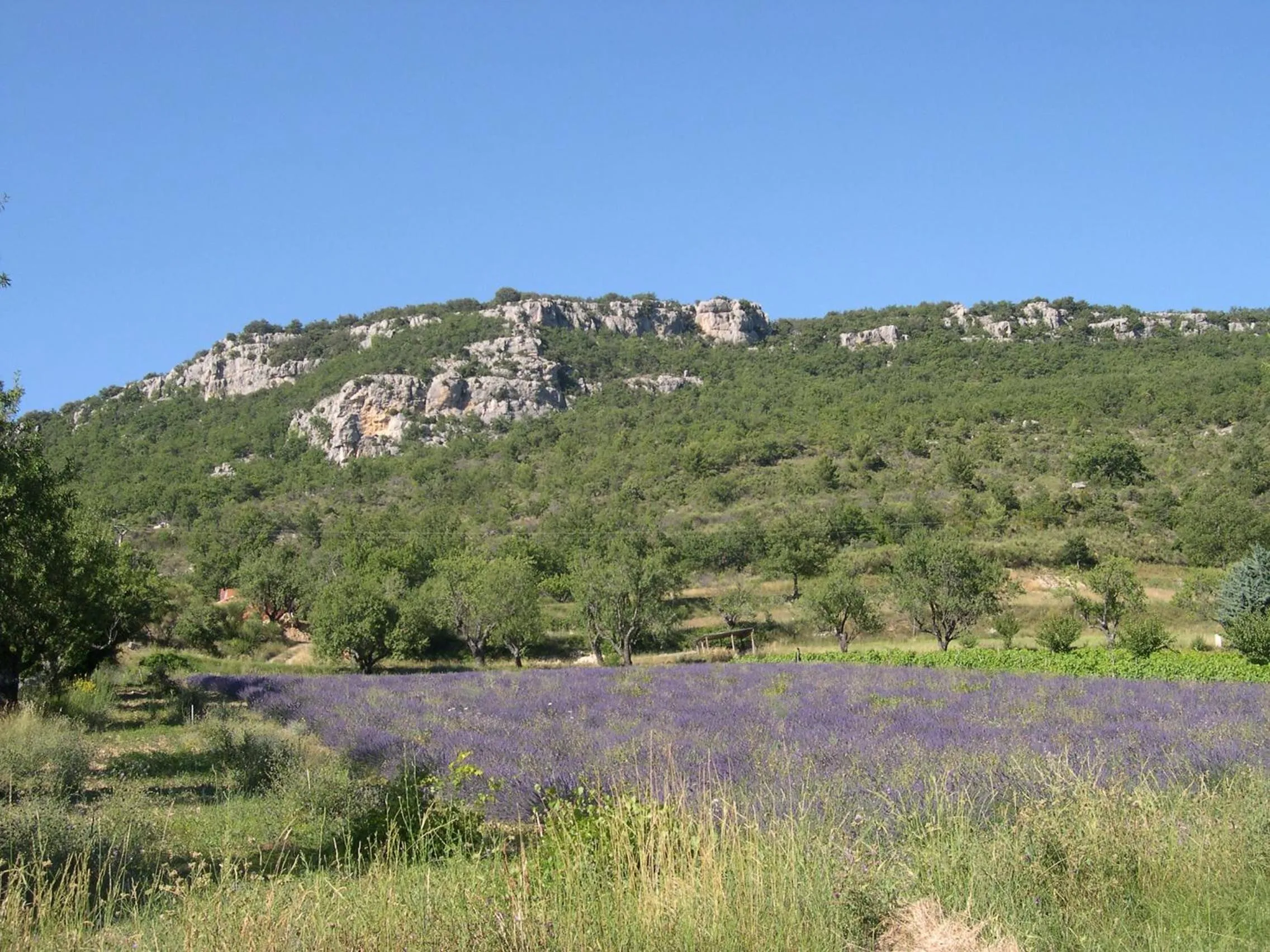 Spring in Domaine de bois joli