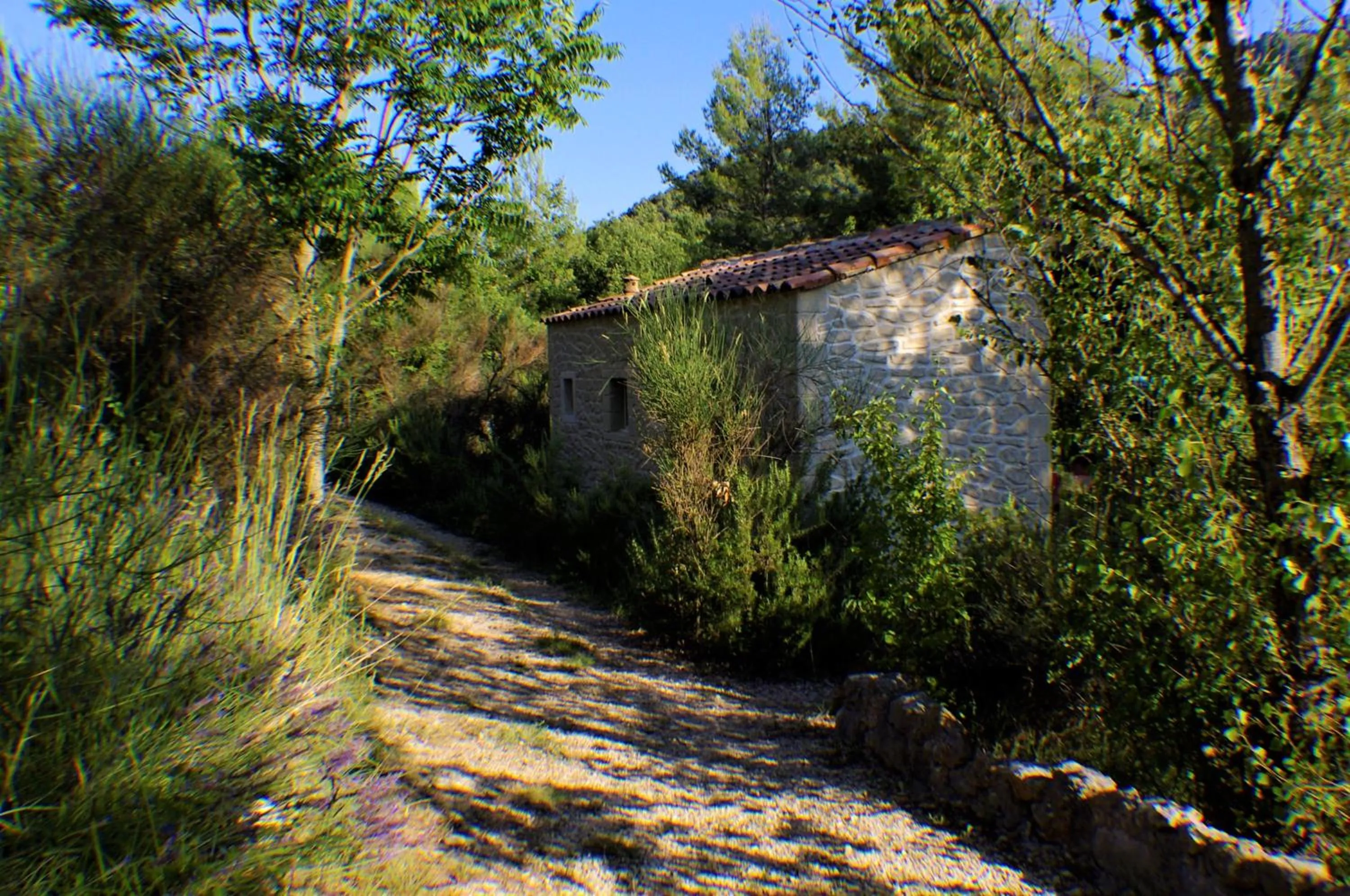 Domaine de bois joli