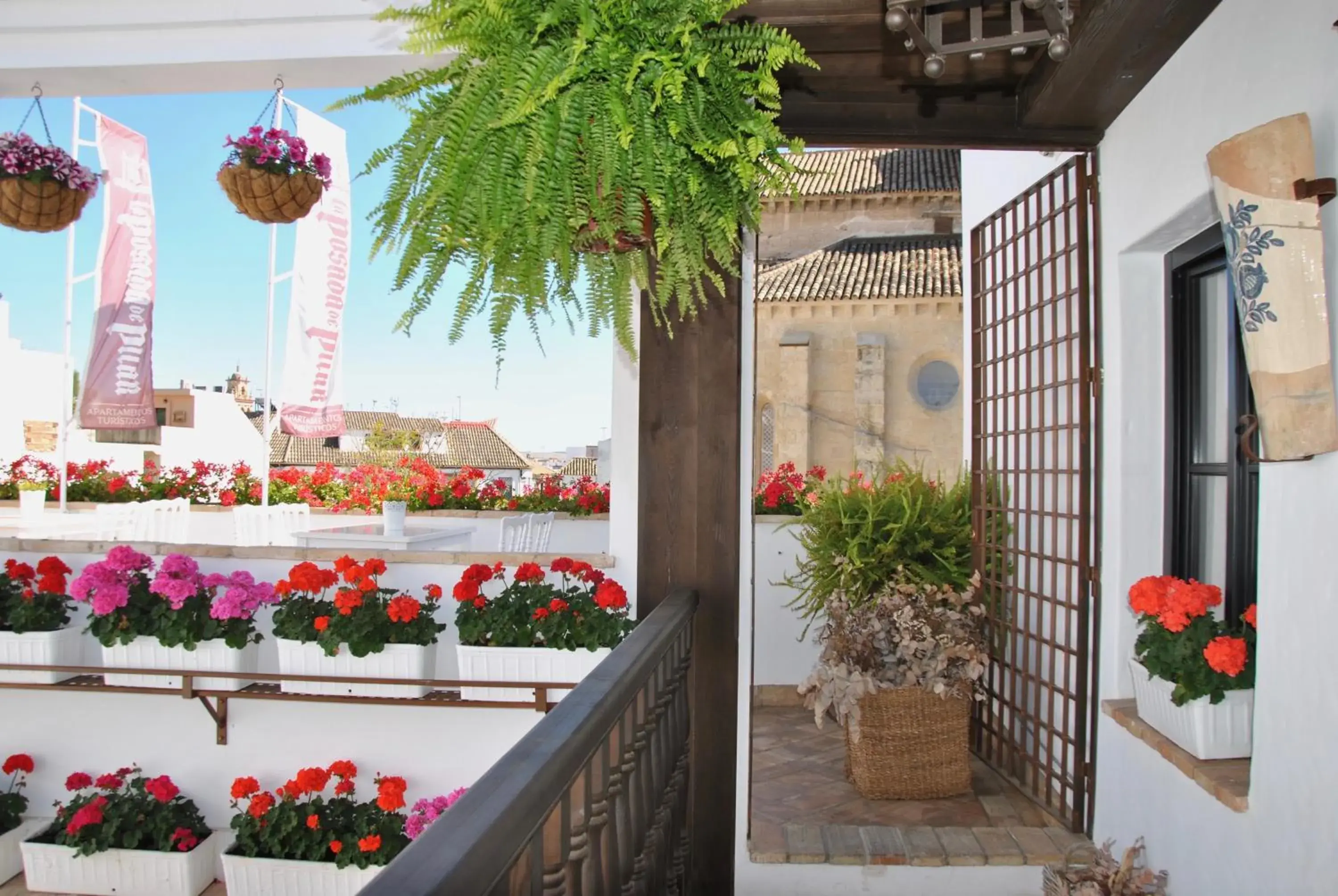 View (from property/room) in Suites La Posada De Pilar View (from property/room) in Suites La Posada De Pilar