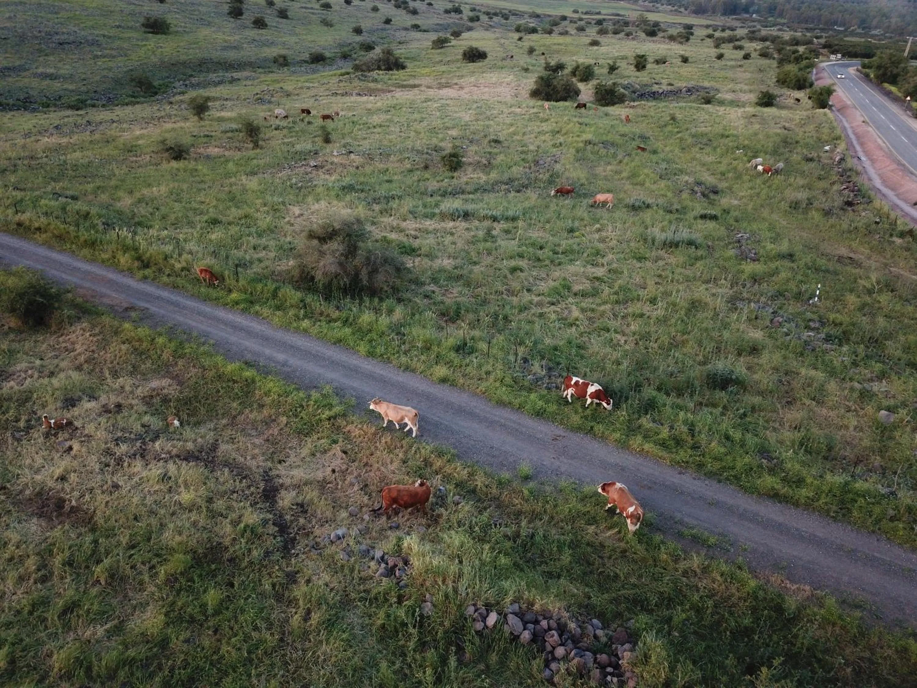 Natural landscape in Cnaan Village Boutique Hotel & Spa
