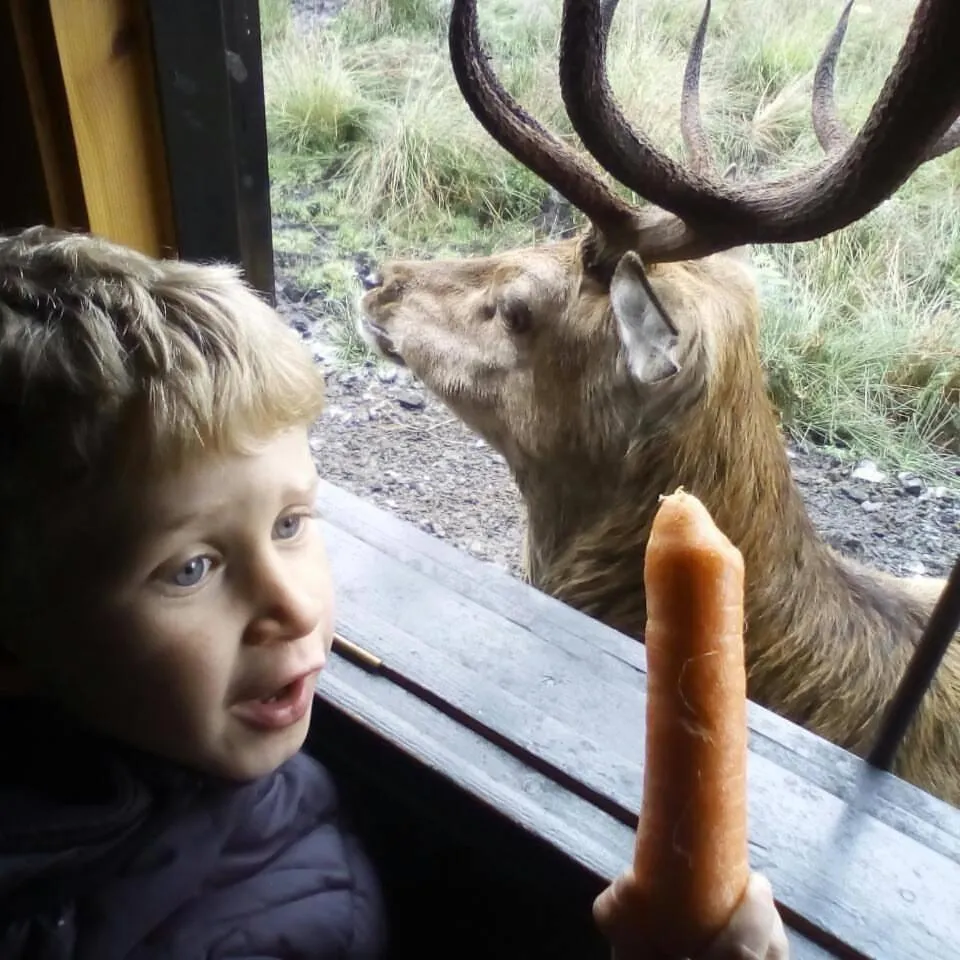 Craighlaw Historic 2 Bedroom Apartment with Garden