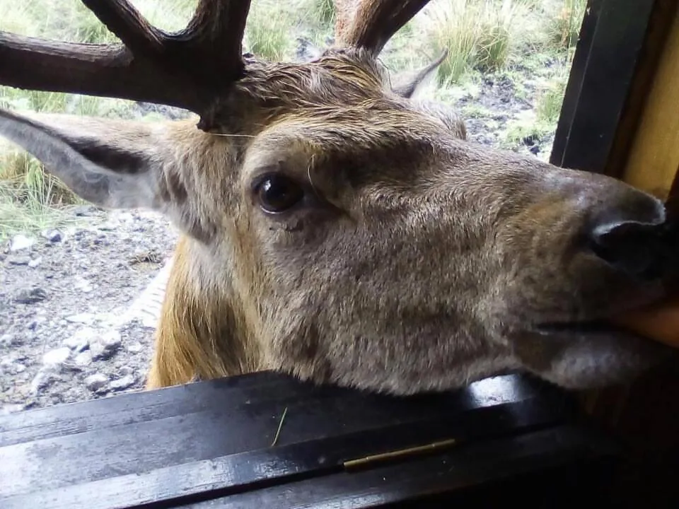 Activities in Craighlaw Vintage Guest Rooms