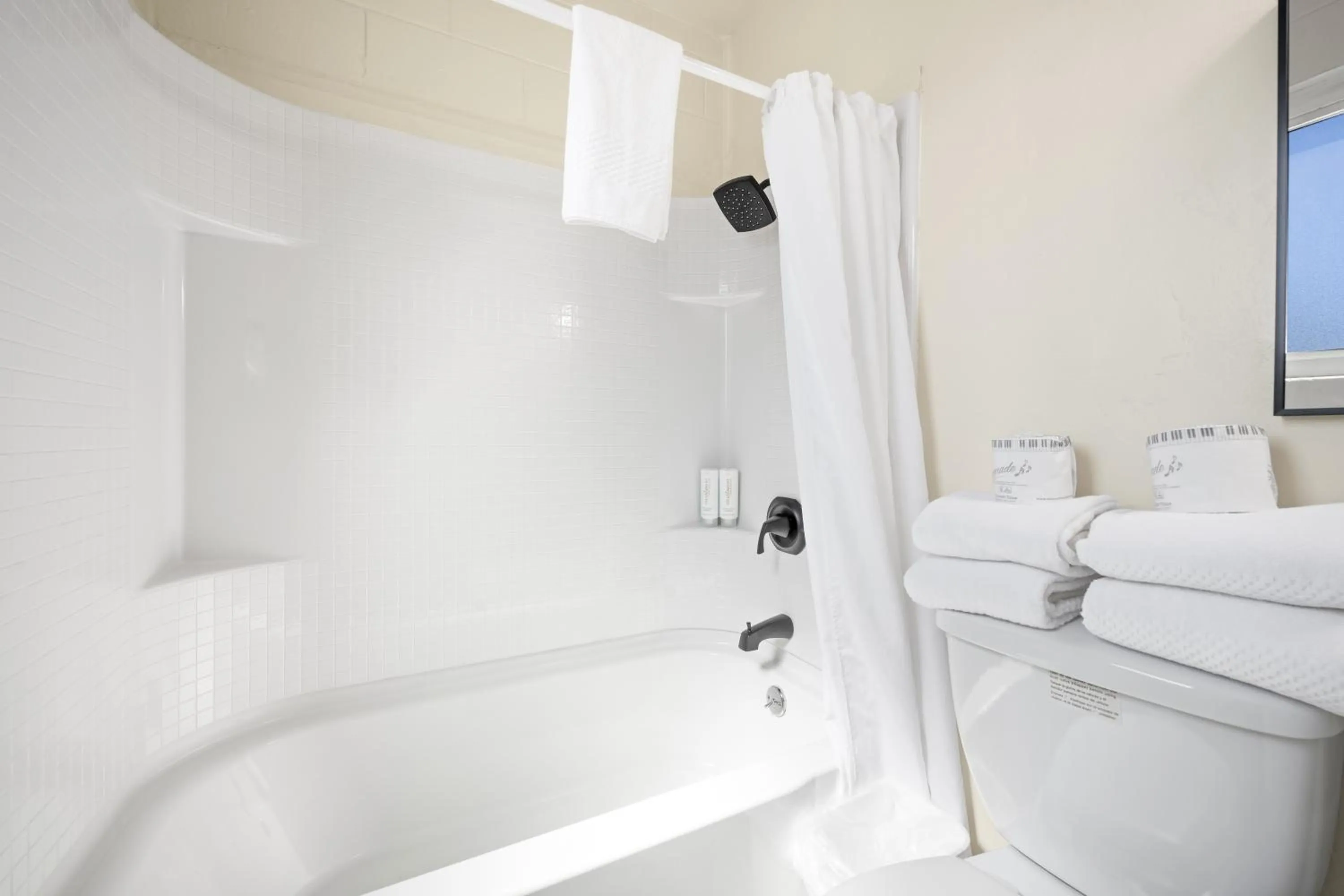 Econo Lodge Inn & Suites Heavenly Village Area