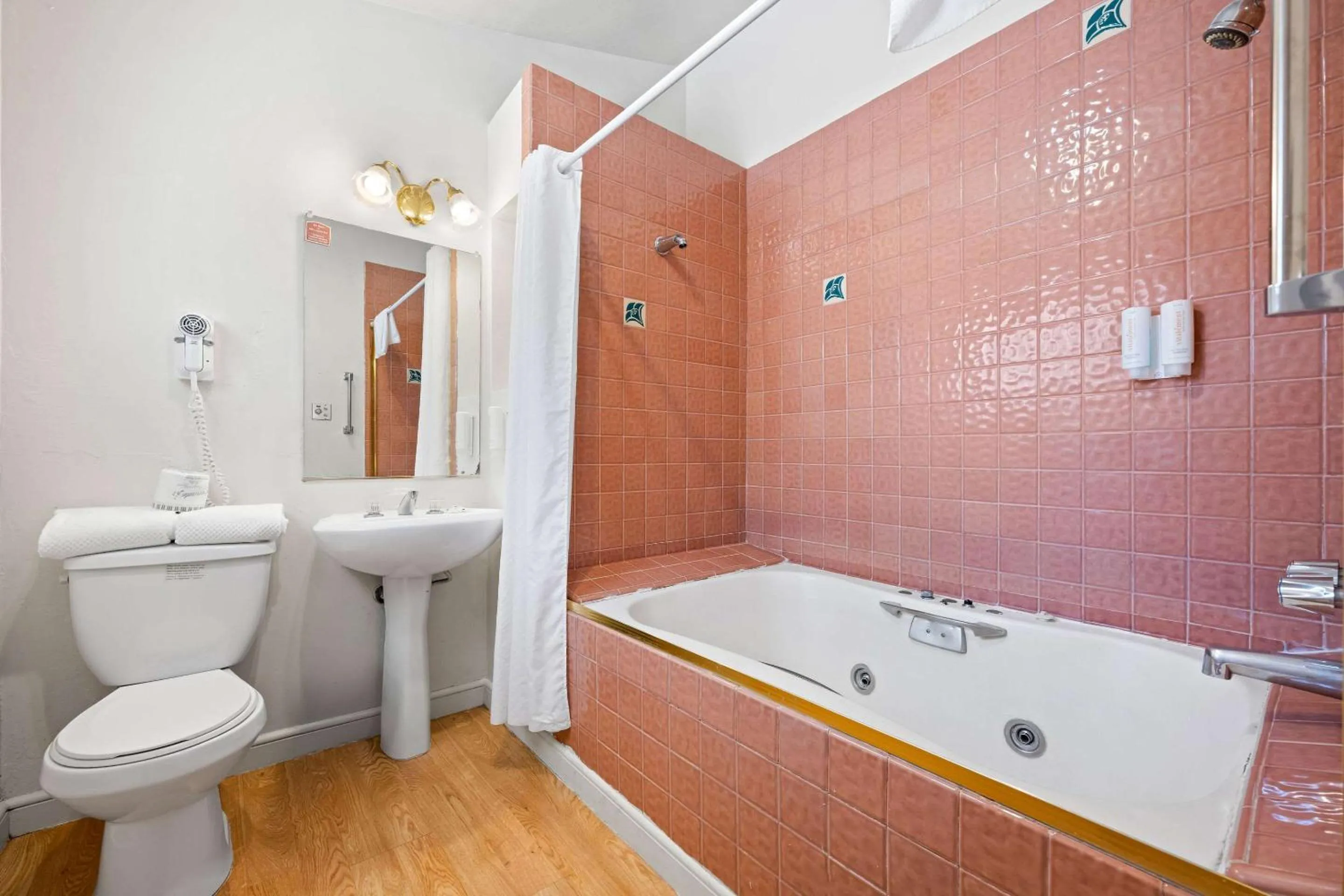 Bedroom in Econo Lodge Inn & Suites Heavenly Village Area