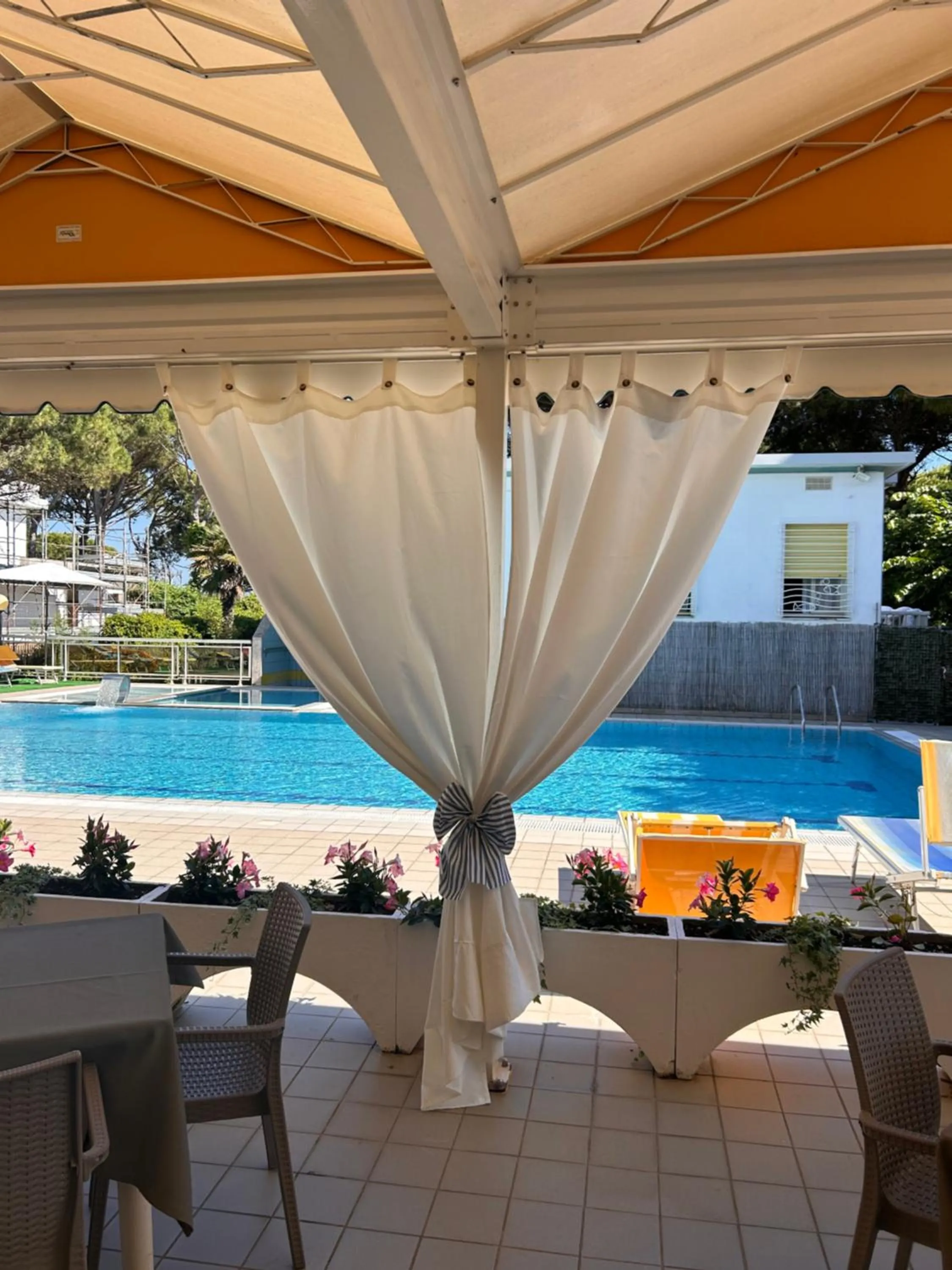 Pool view in Hotel Palm Beach