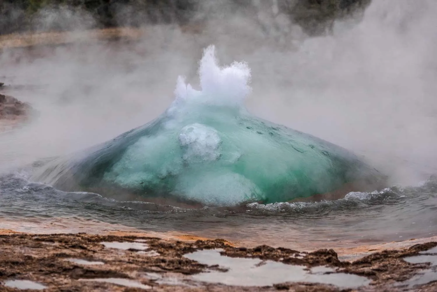 Natural landscape in Hotel Selja