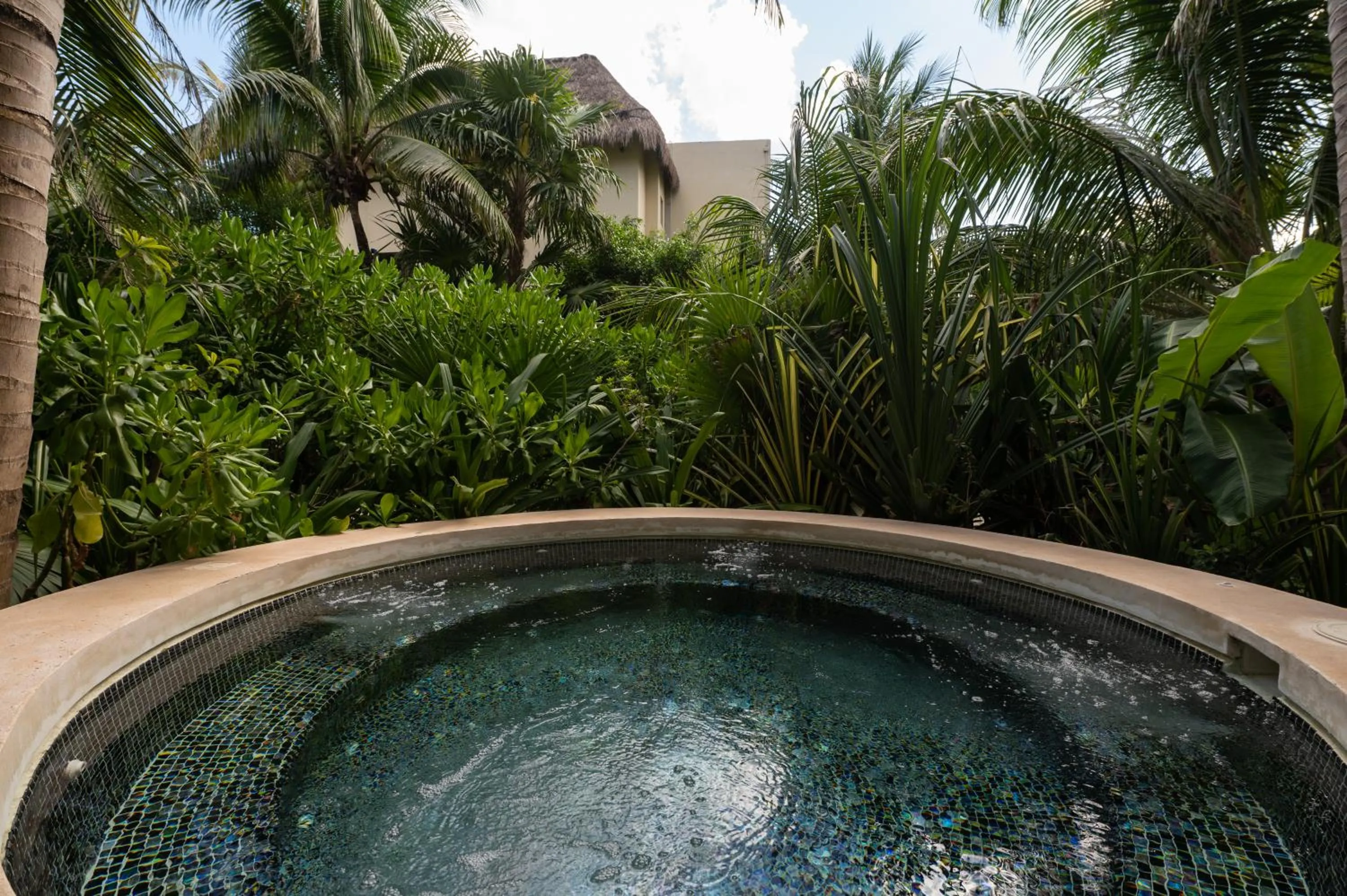 Natural landscape in Ana y Jose Tulum Hotel & Beach Club