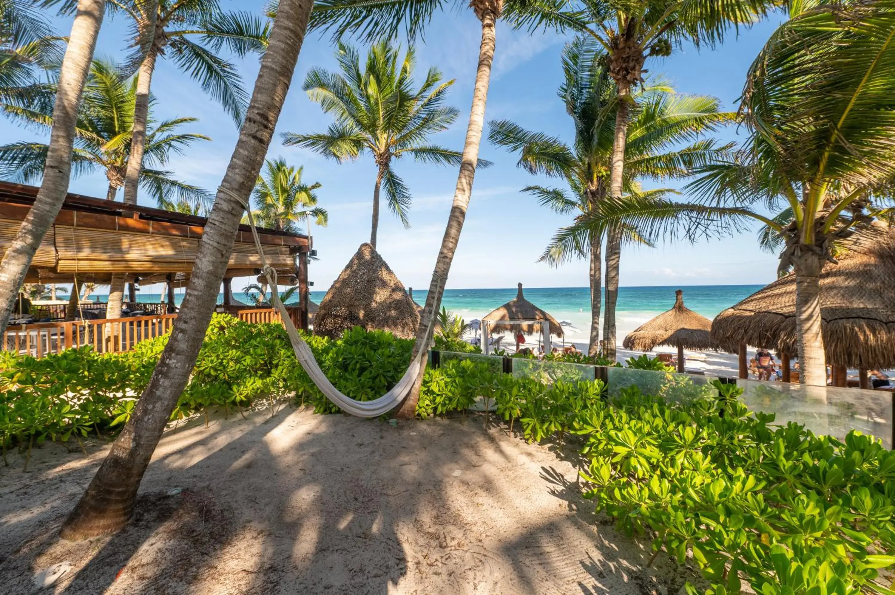 View (from property/room) in Ana y Jose Hotel & Beach Club Tulum View (from property/room) in Ana y Jose Hotel & Beach Club Tulum