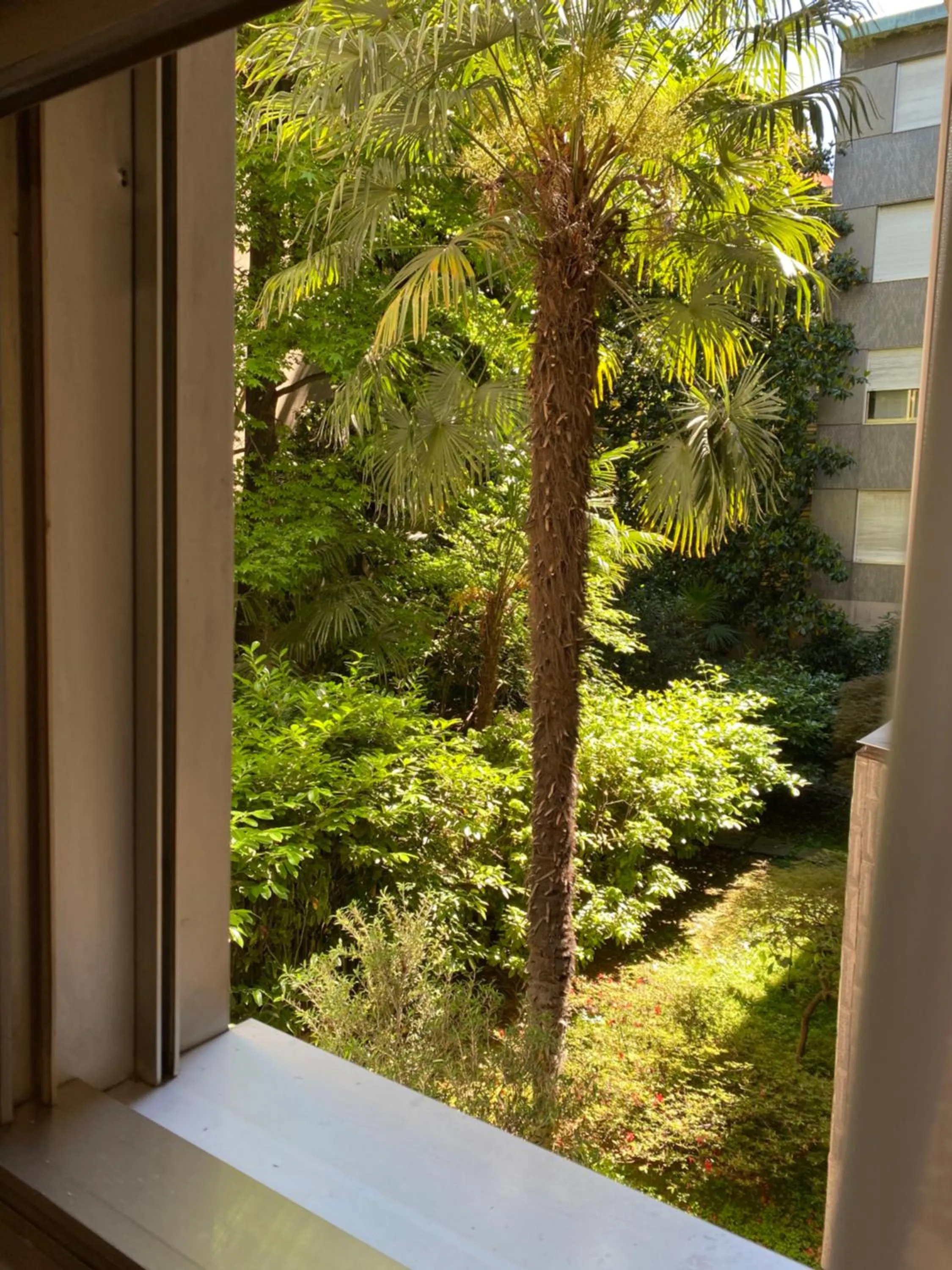 View (from property/room) in Hotel Due Giardini