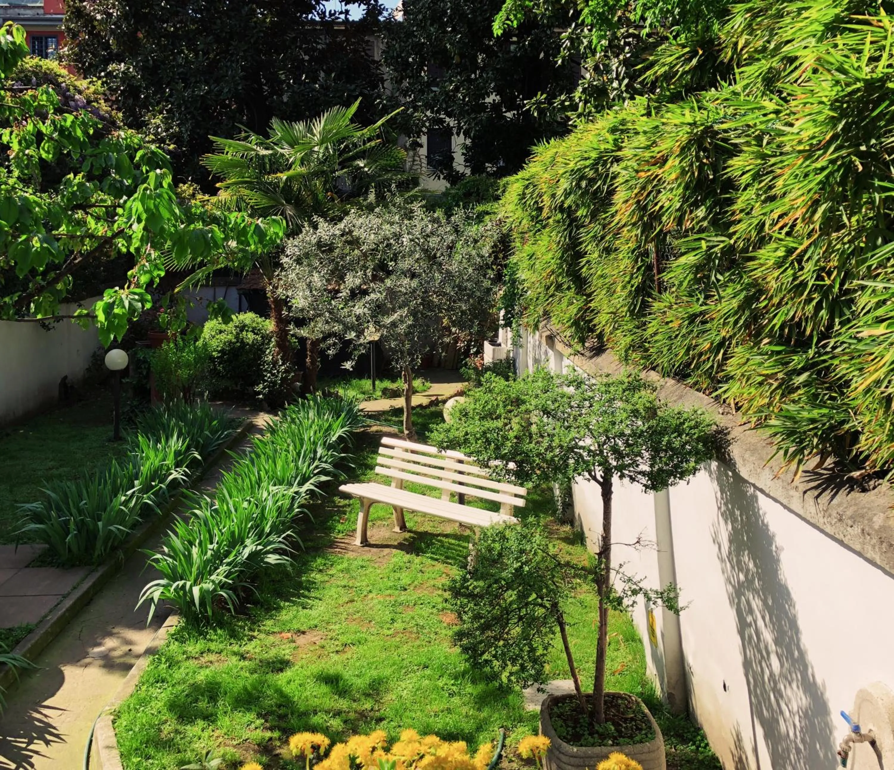 Garden in Hotel Due Giardini
