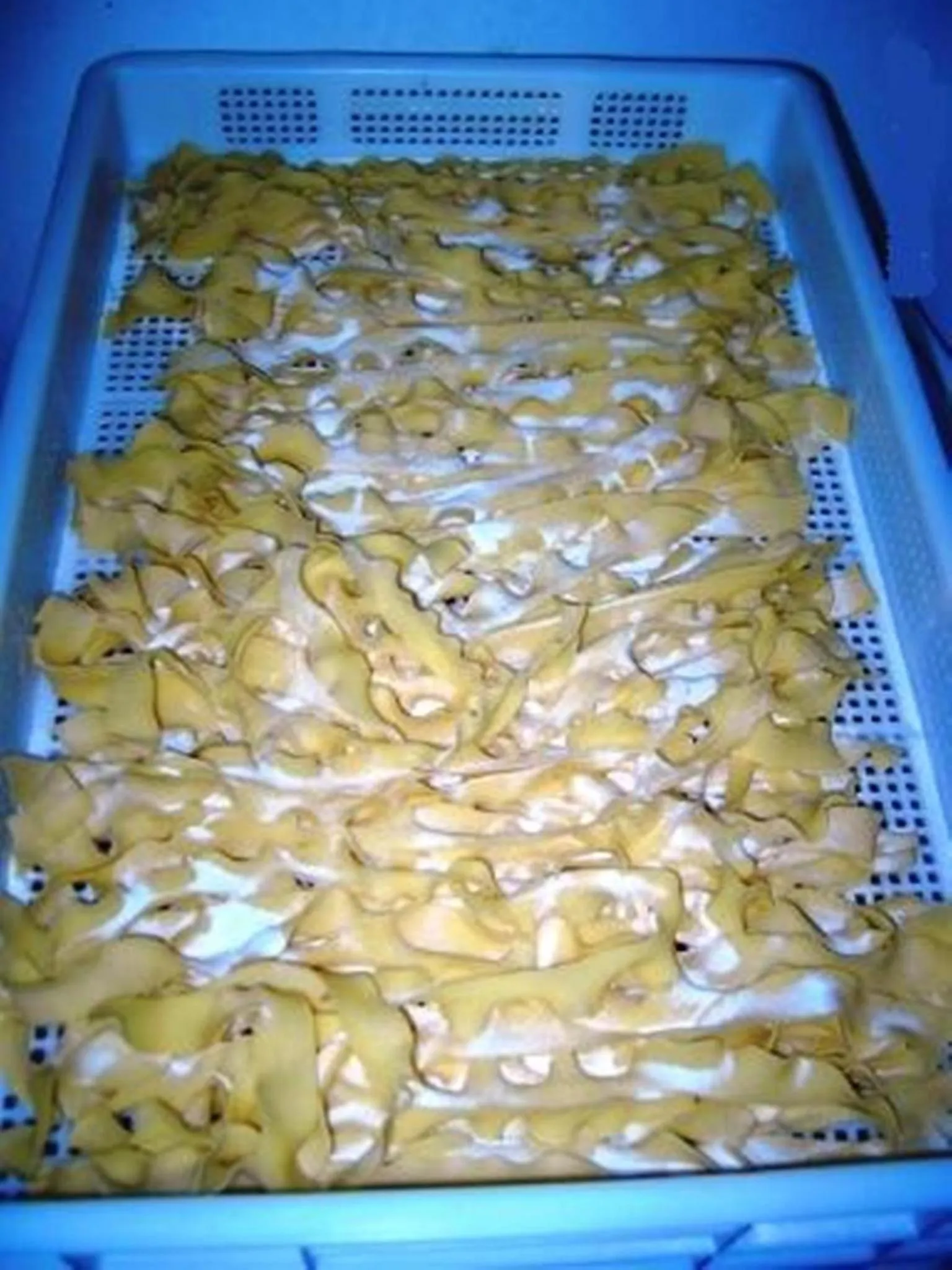 Food in Agriturismo La Targa