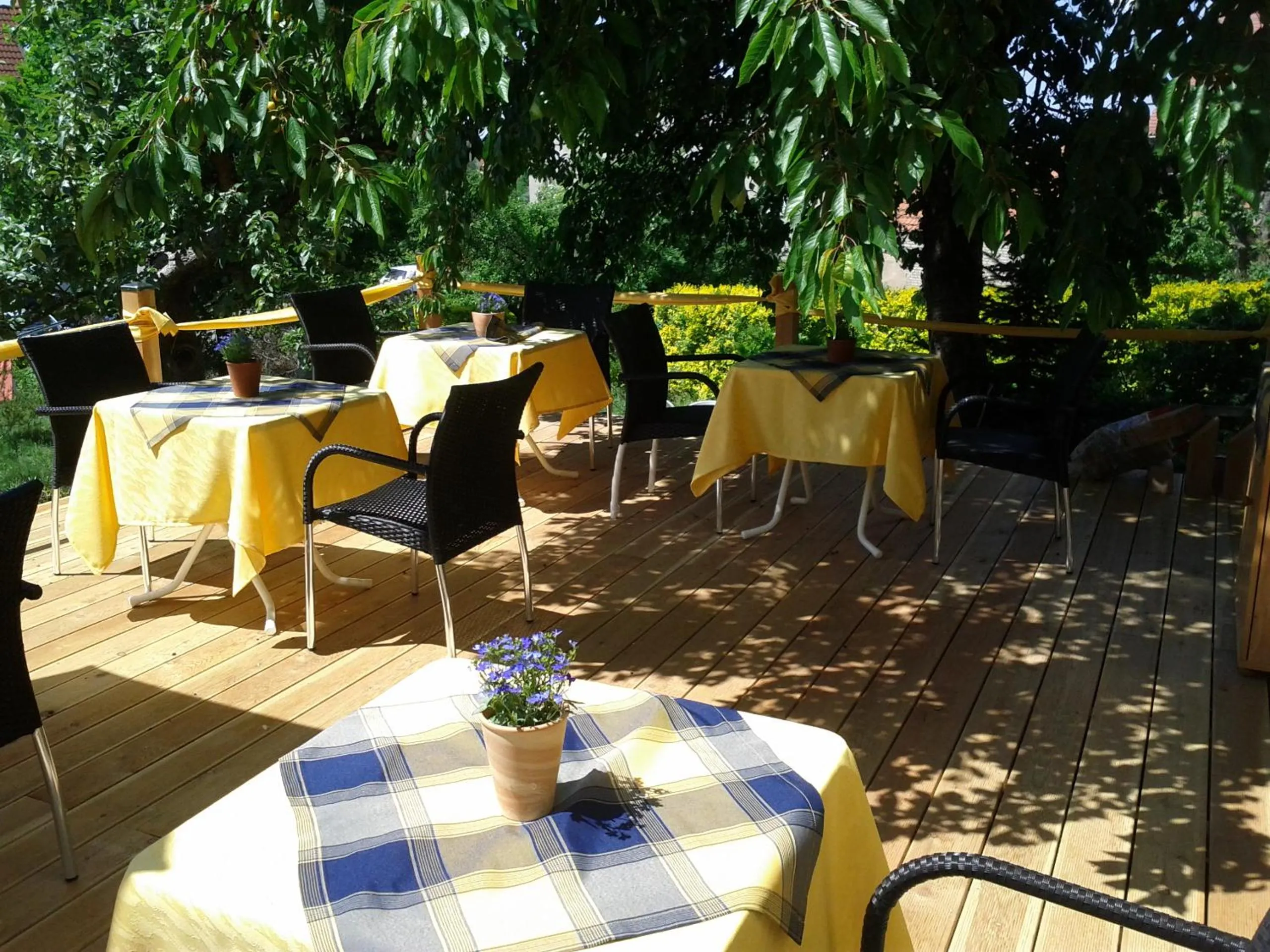Balcony/Terrace in Elbhangzimmer Dresden