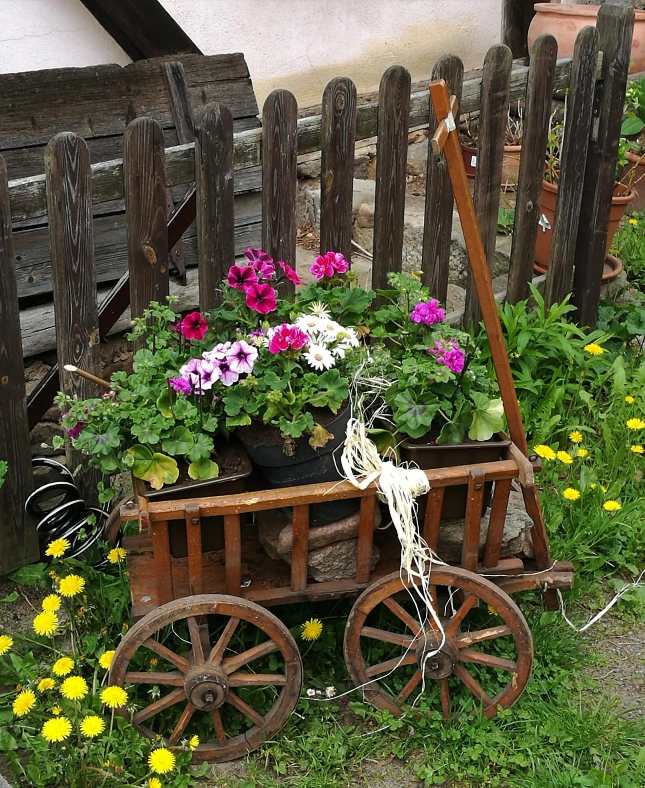 Garden in Elbhangzimmer Dresden