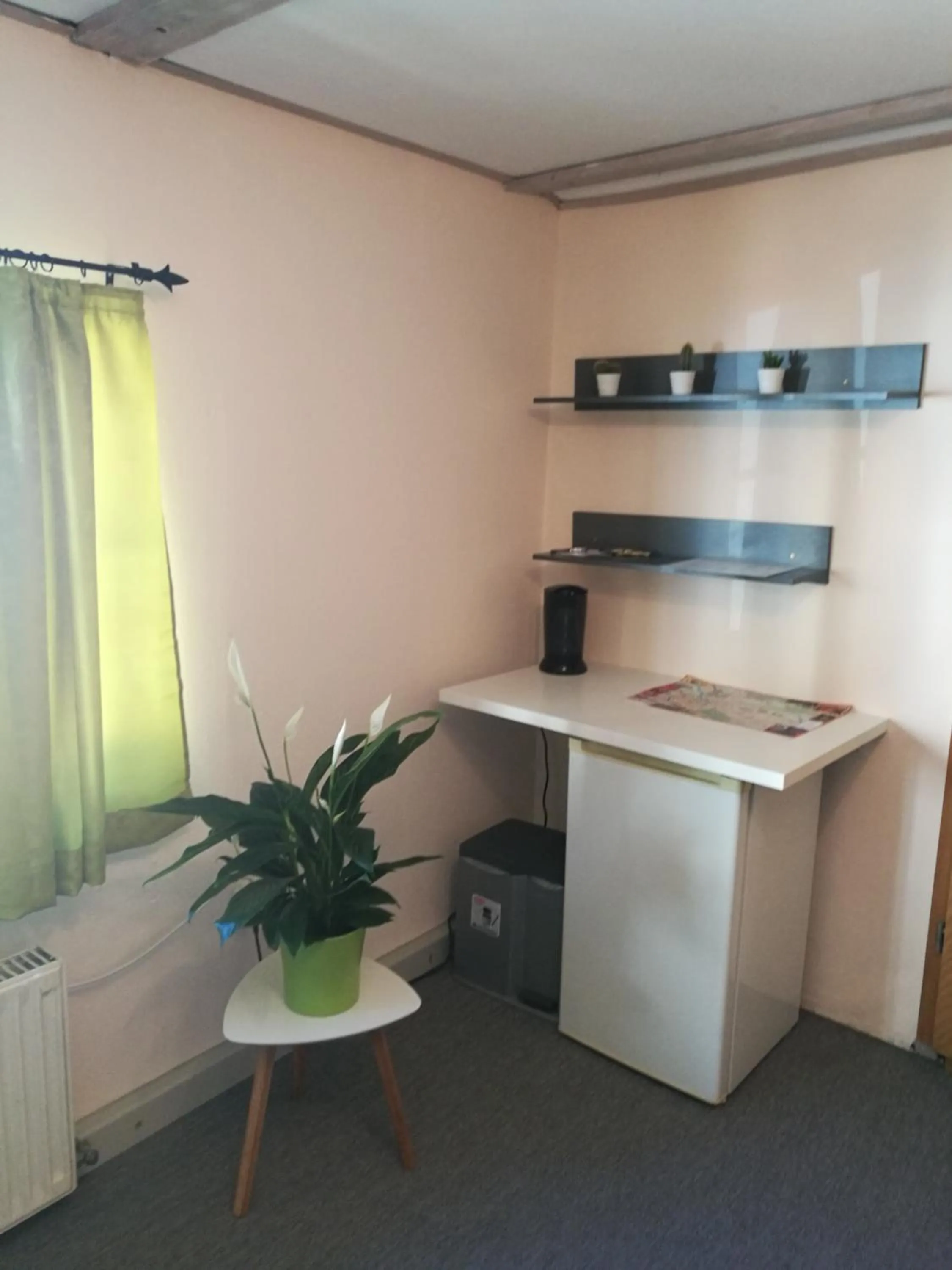 Decorative detail in Elbhangzimmer Dresden