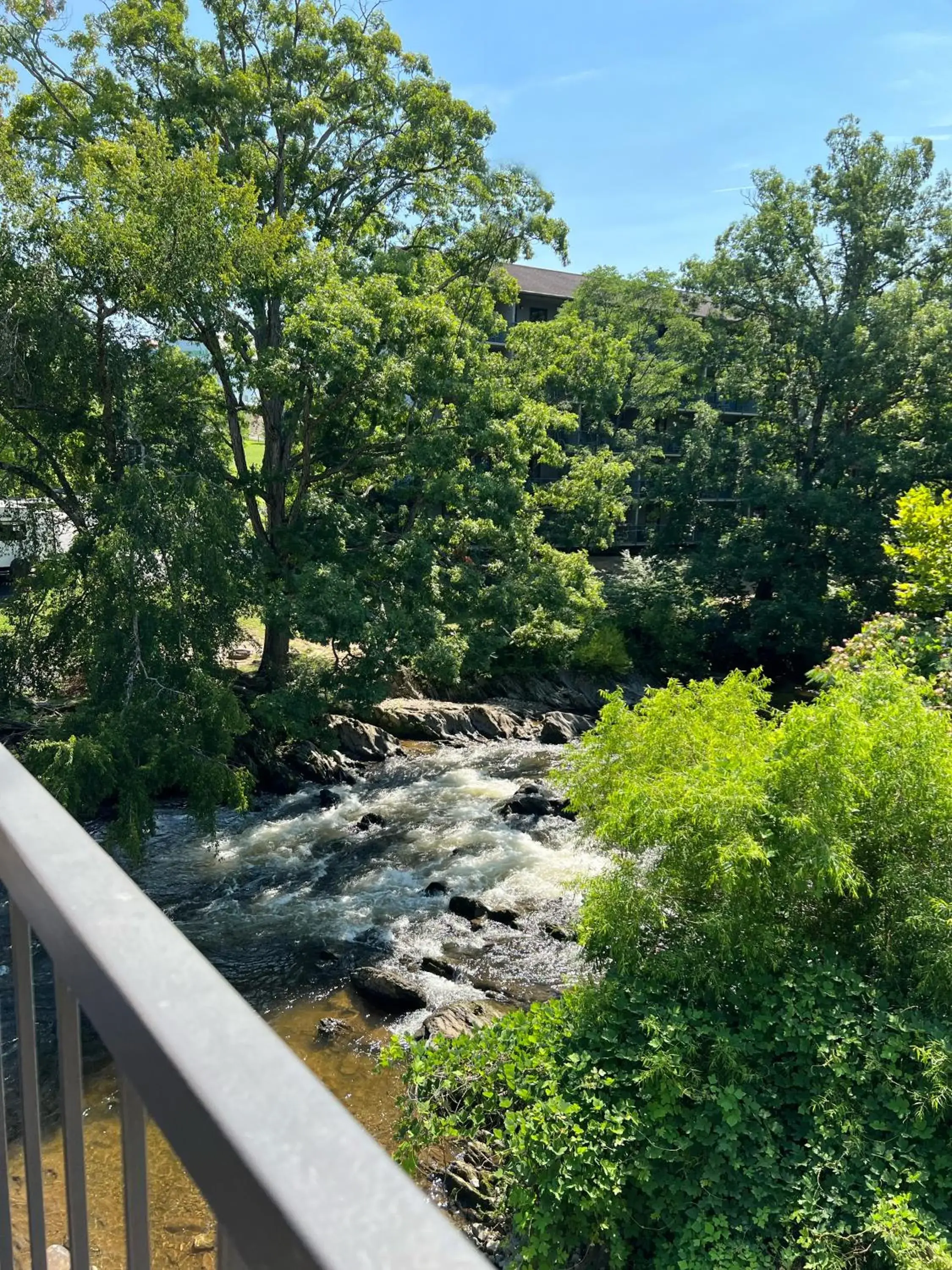 View (from property/room) in Creekstone Inn View (from property/room) in Creekstone Inn
