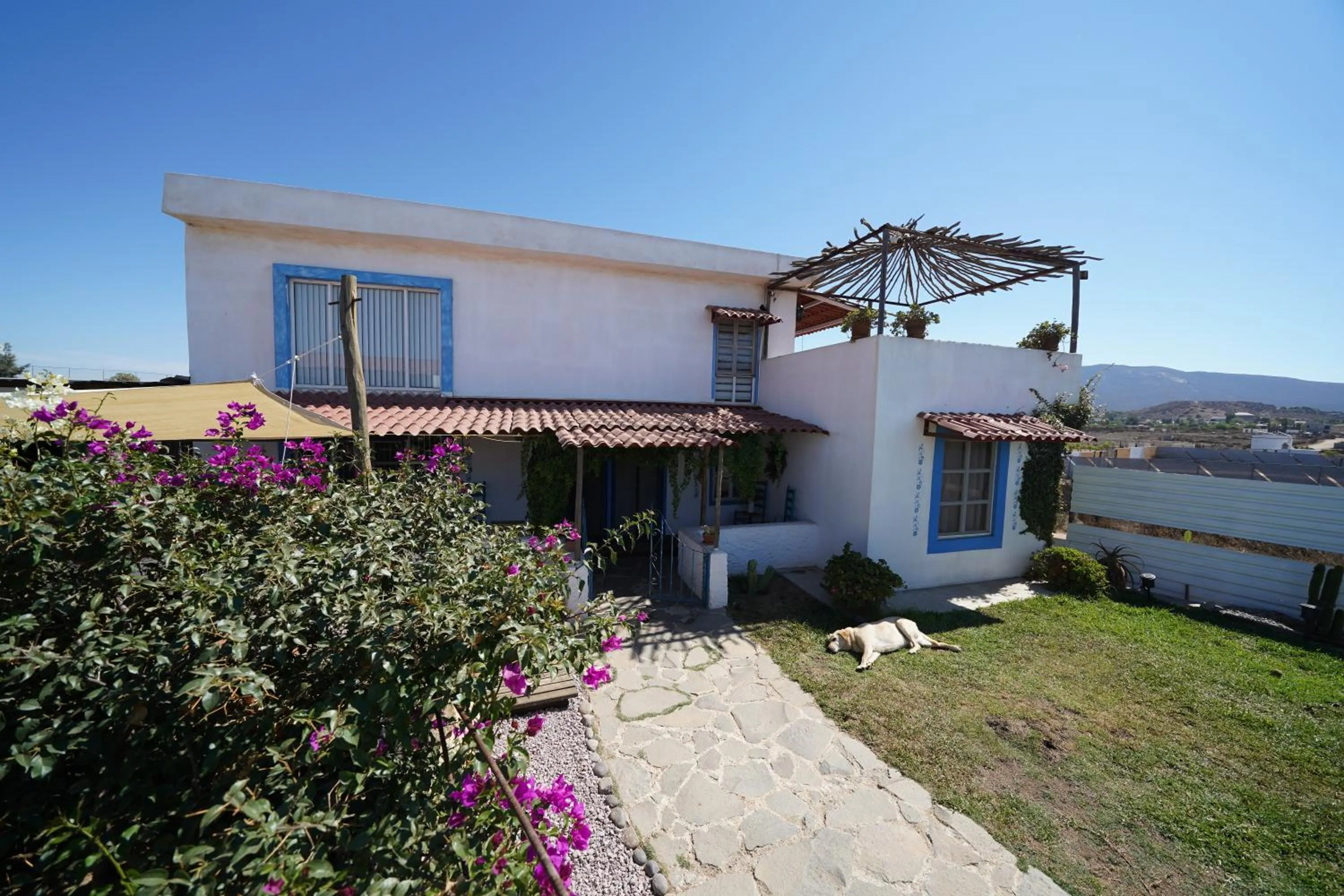 Garden in Santerra, Valle de Guadalupe