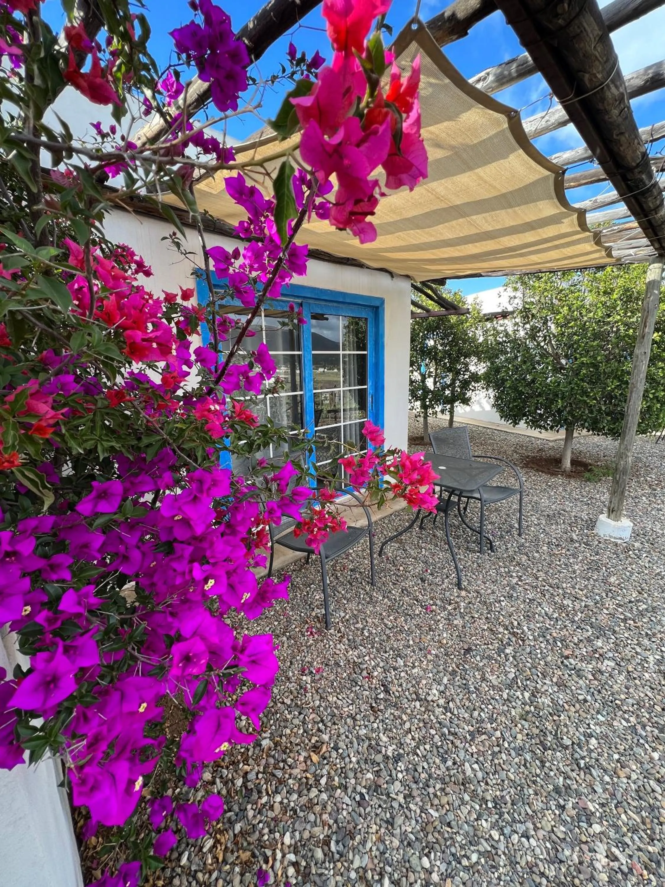 Balcony/Terrace in Santerra, Valle de Guadalupe