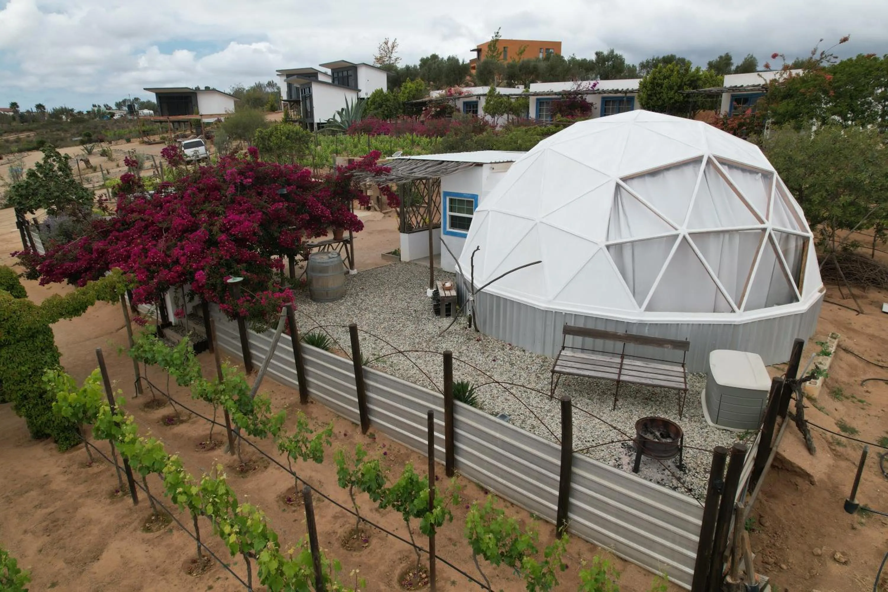 Santerra, Valle de Guadalupe