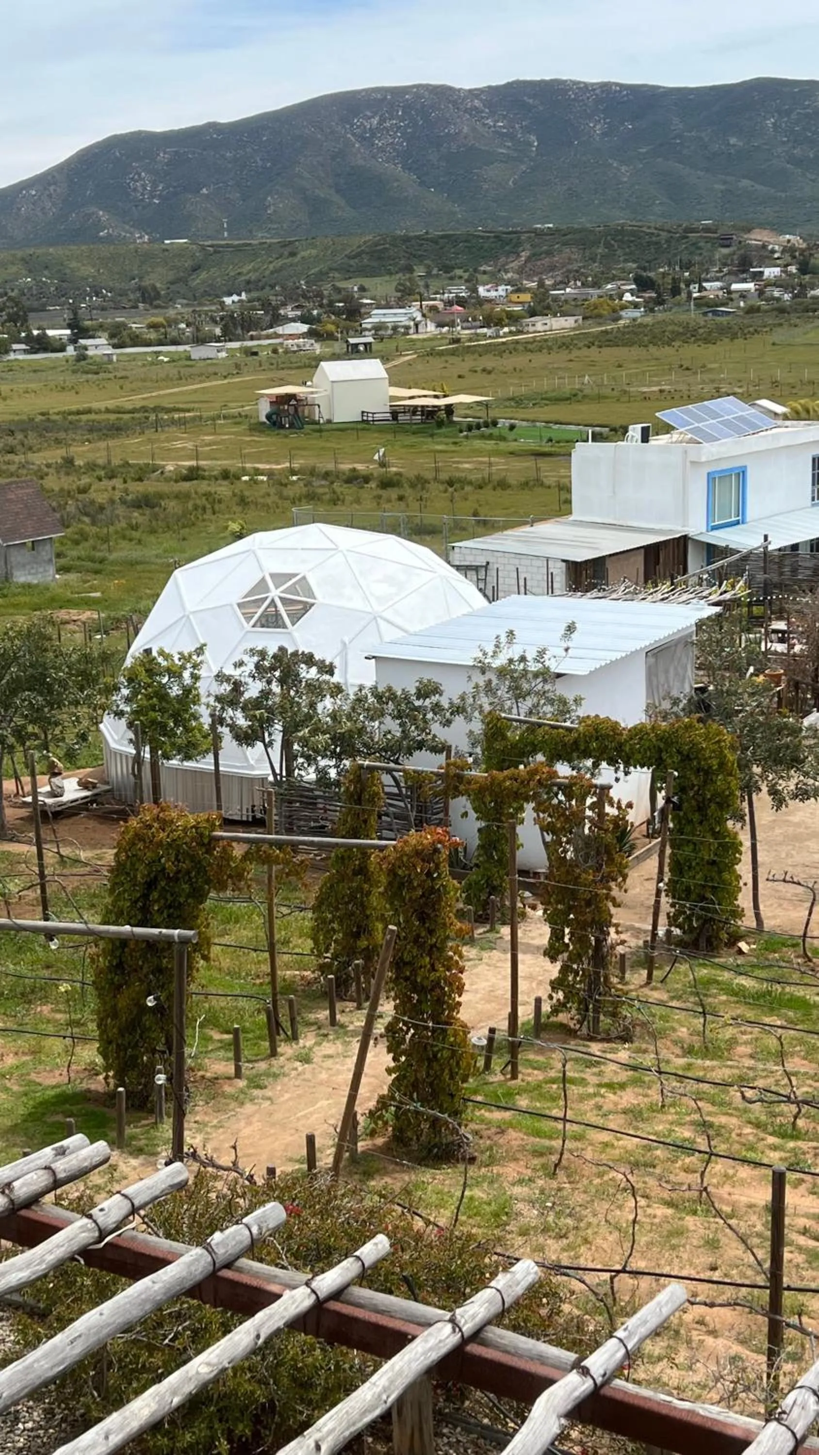 Natural landscape in Santerra, Valle de Guadalupe