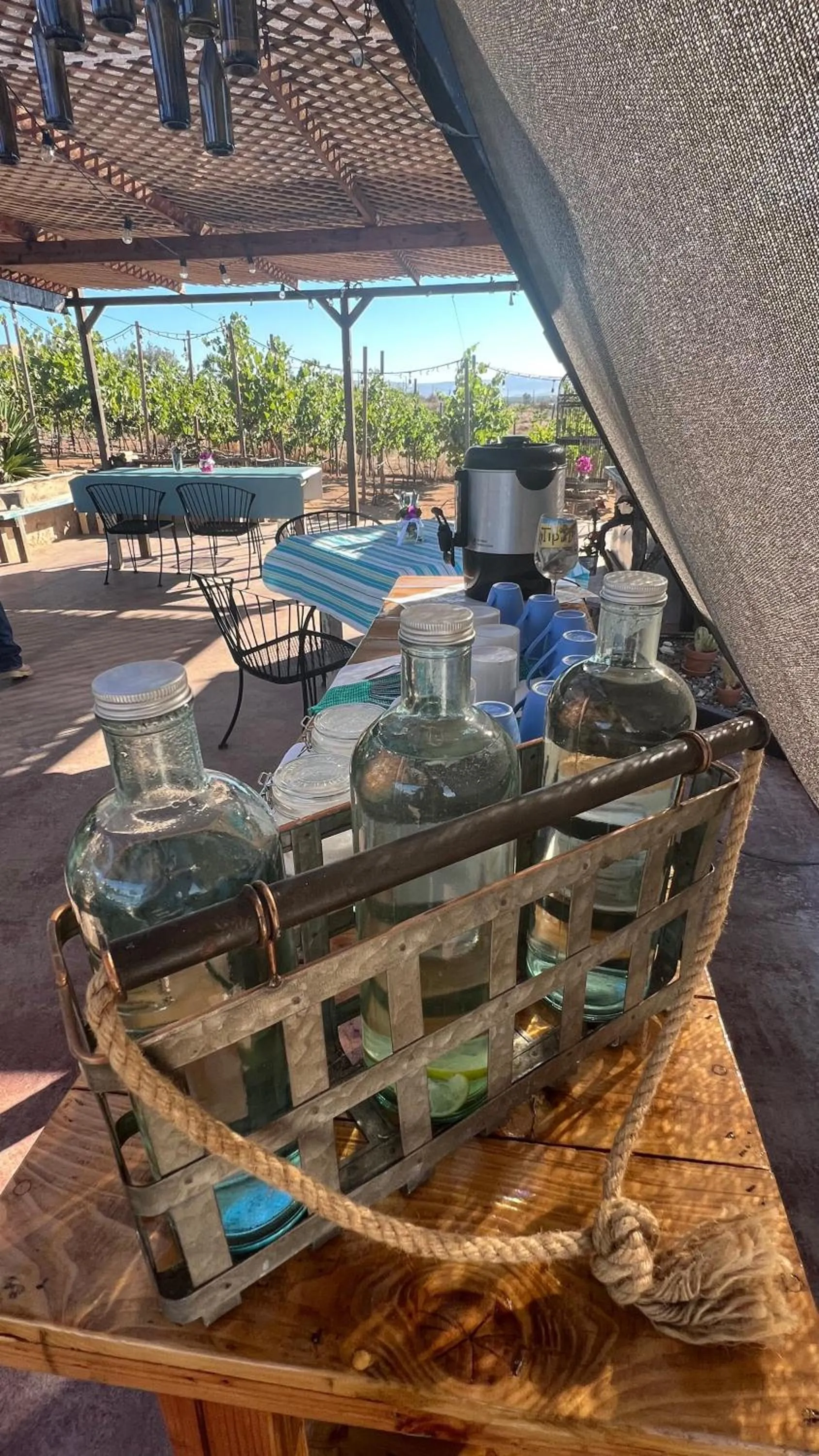 Restaurant/places to eat in Santerra, Valle de Guadalupe