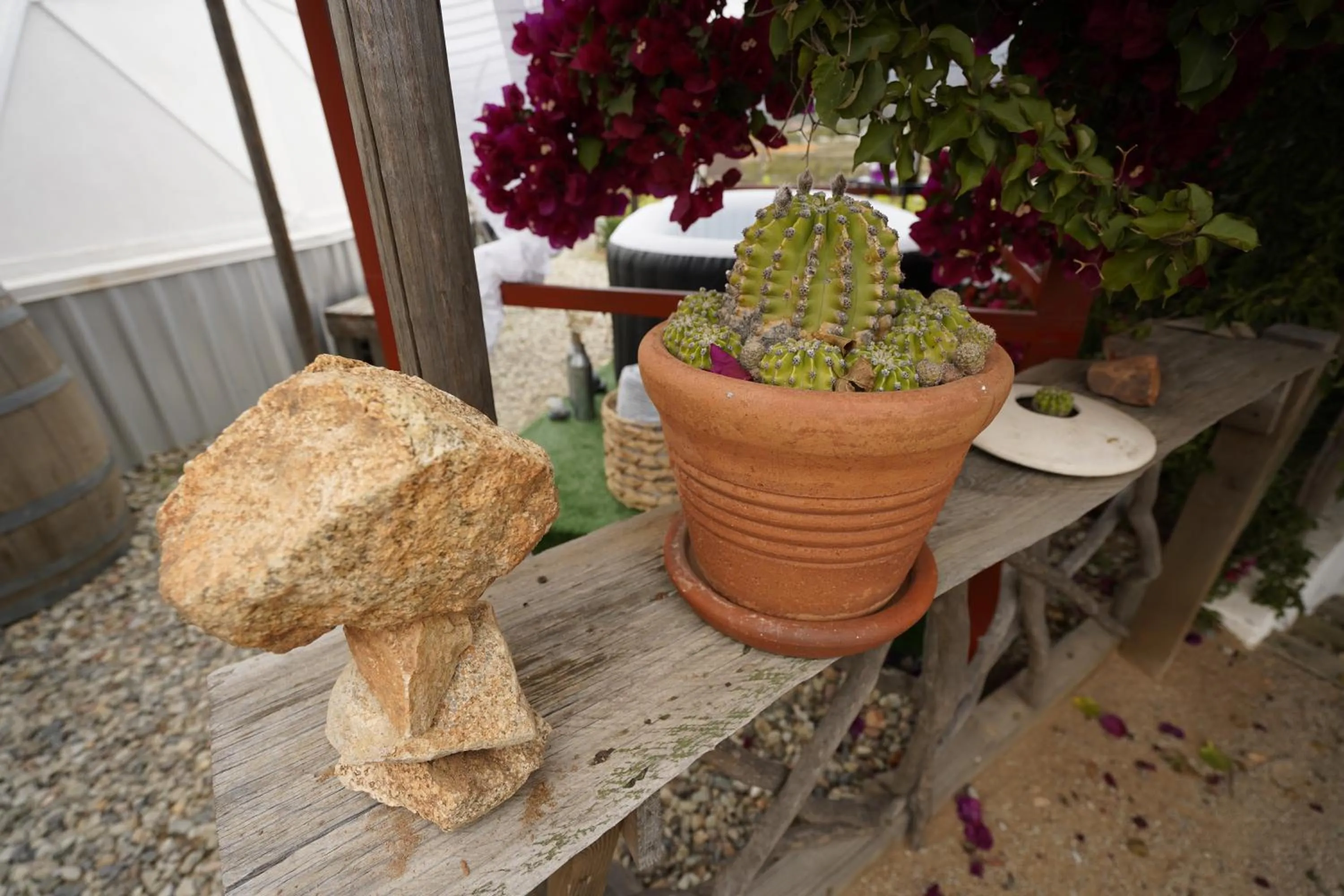 Santerra, Valle de Guadalupe