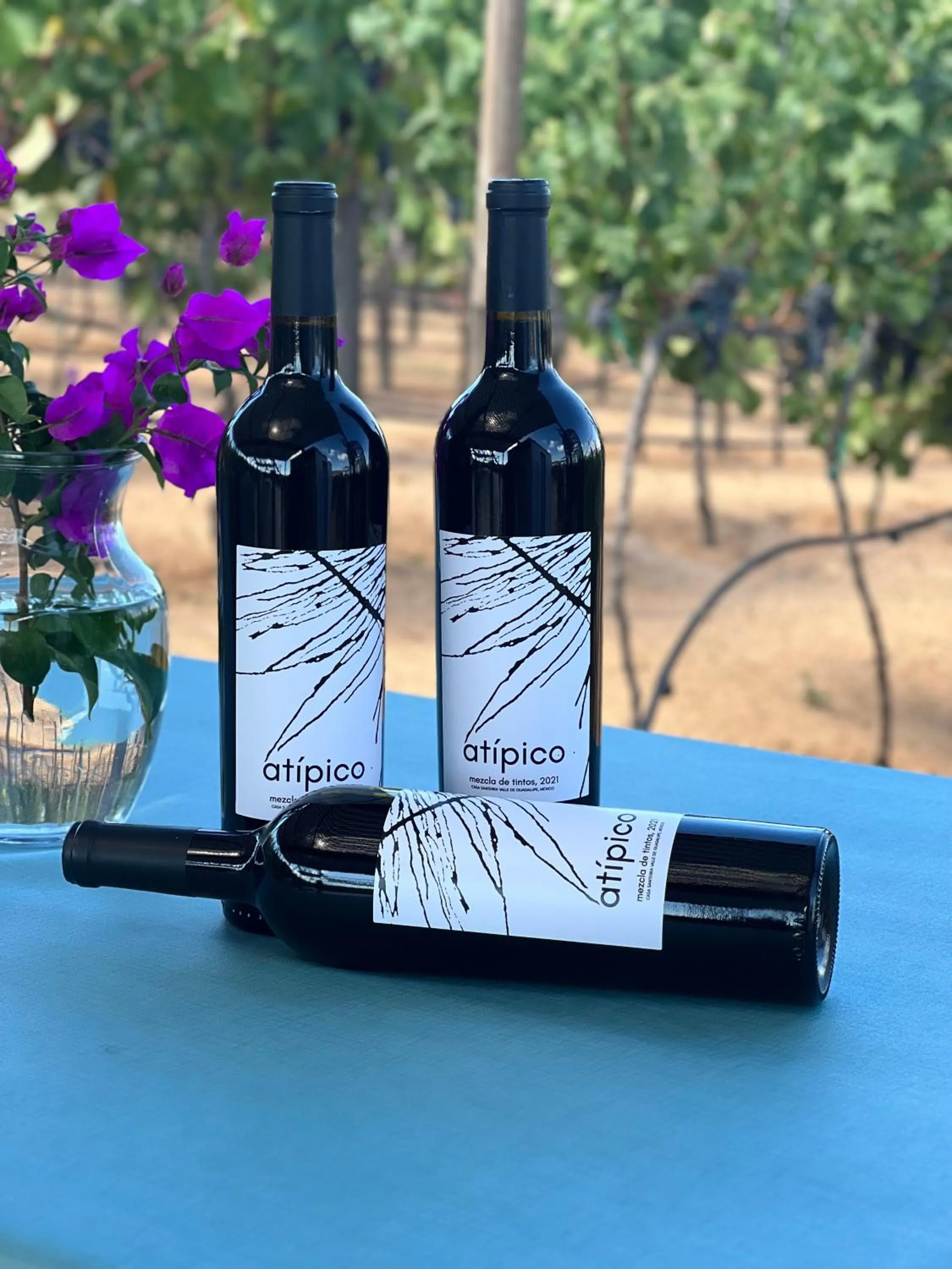 Balcony/Terrace in Santerra, Valle de Guadalupe