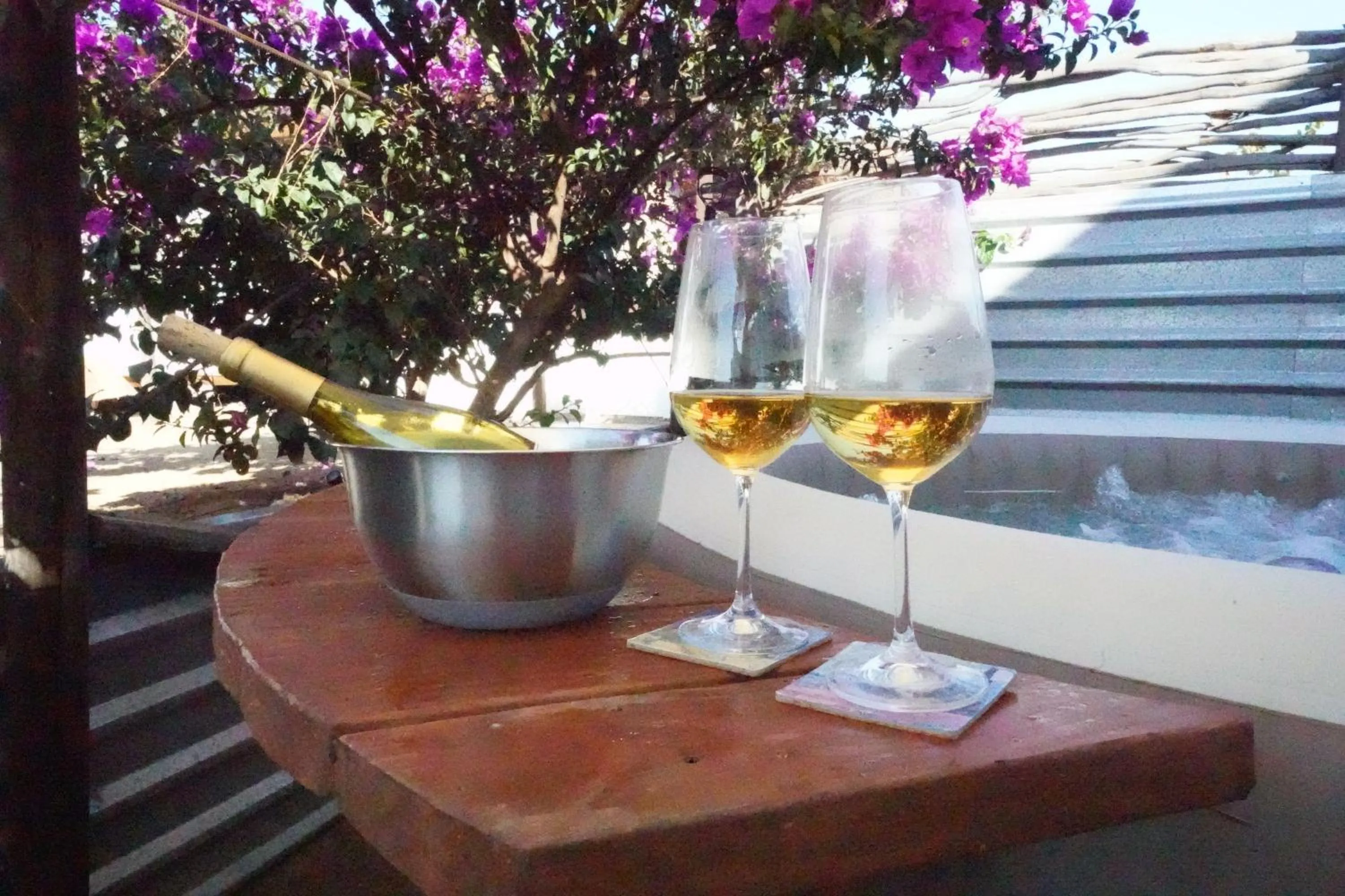 Day in Santerra, Valle de Guadalupe