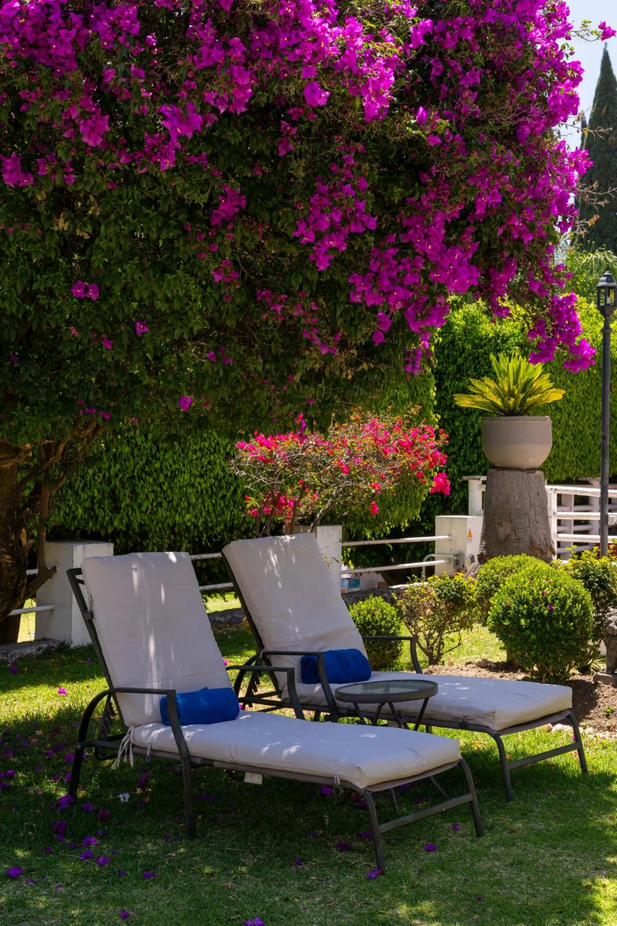 Garden in Río Tinto Hotel Boutique