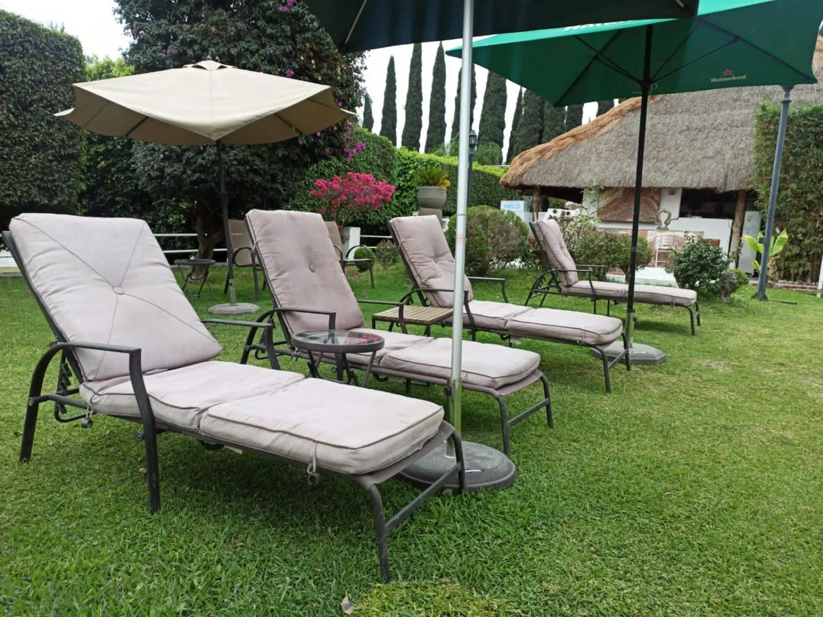 Day in Río Tinto Hotel Boutique