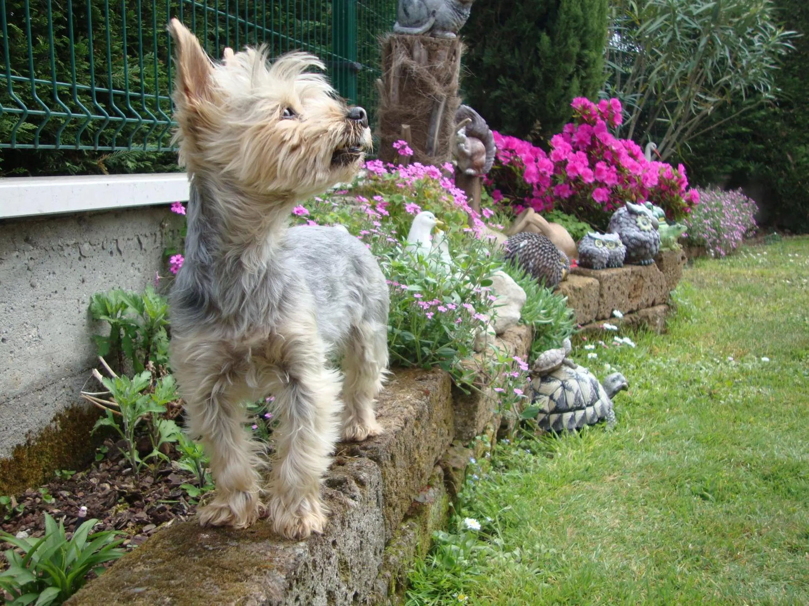 Property building in B&B Milu'