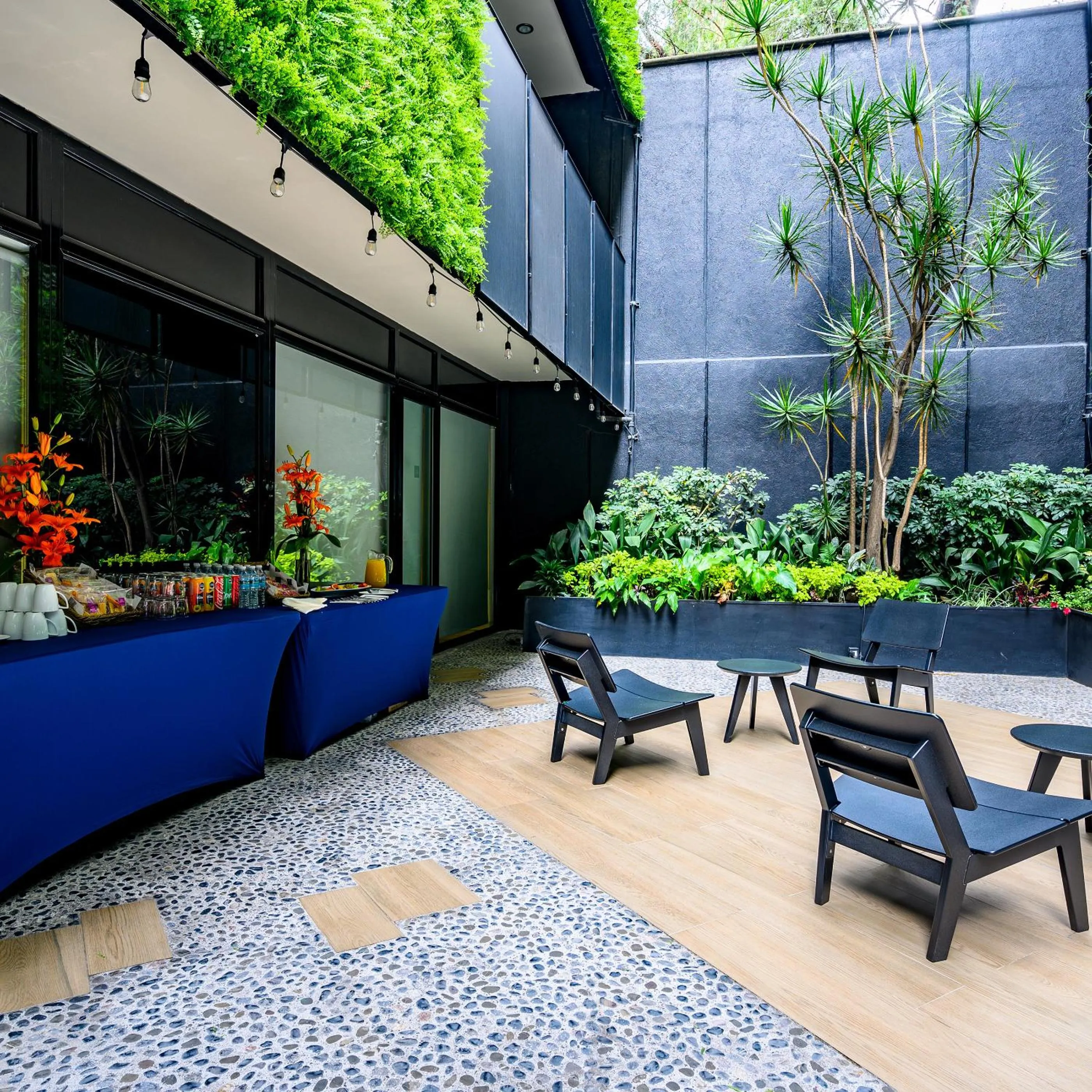 Garden in Las Suites Campos Eliseos