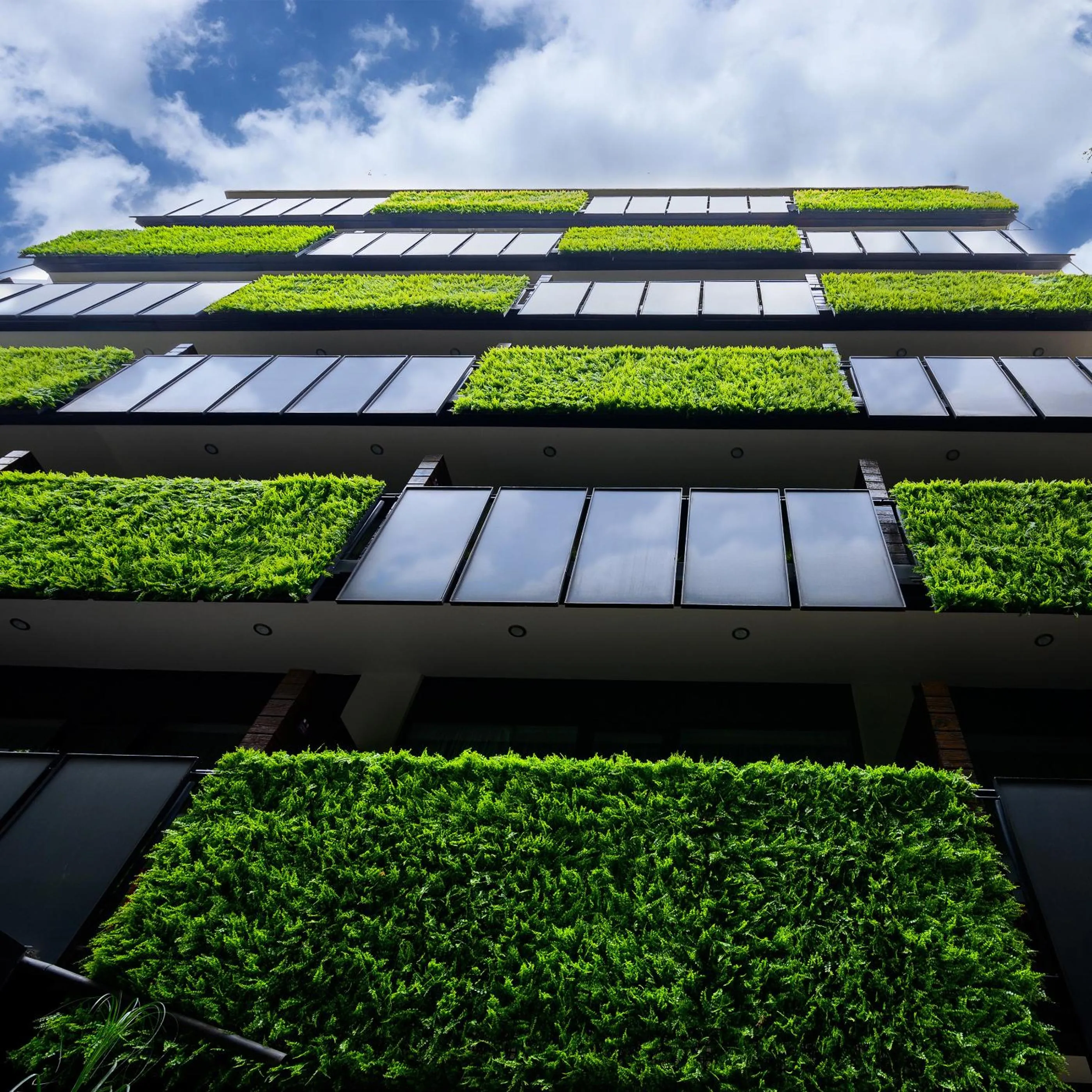Garden view in Las Suites Campos Eliseos