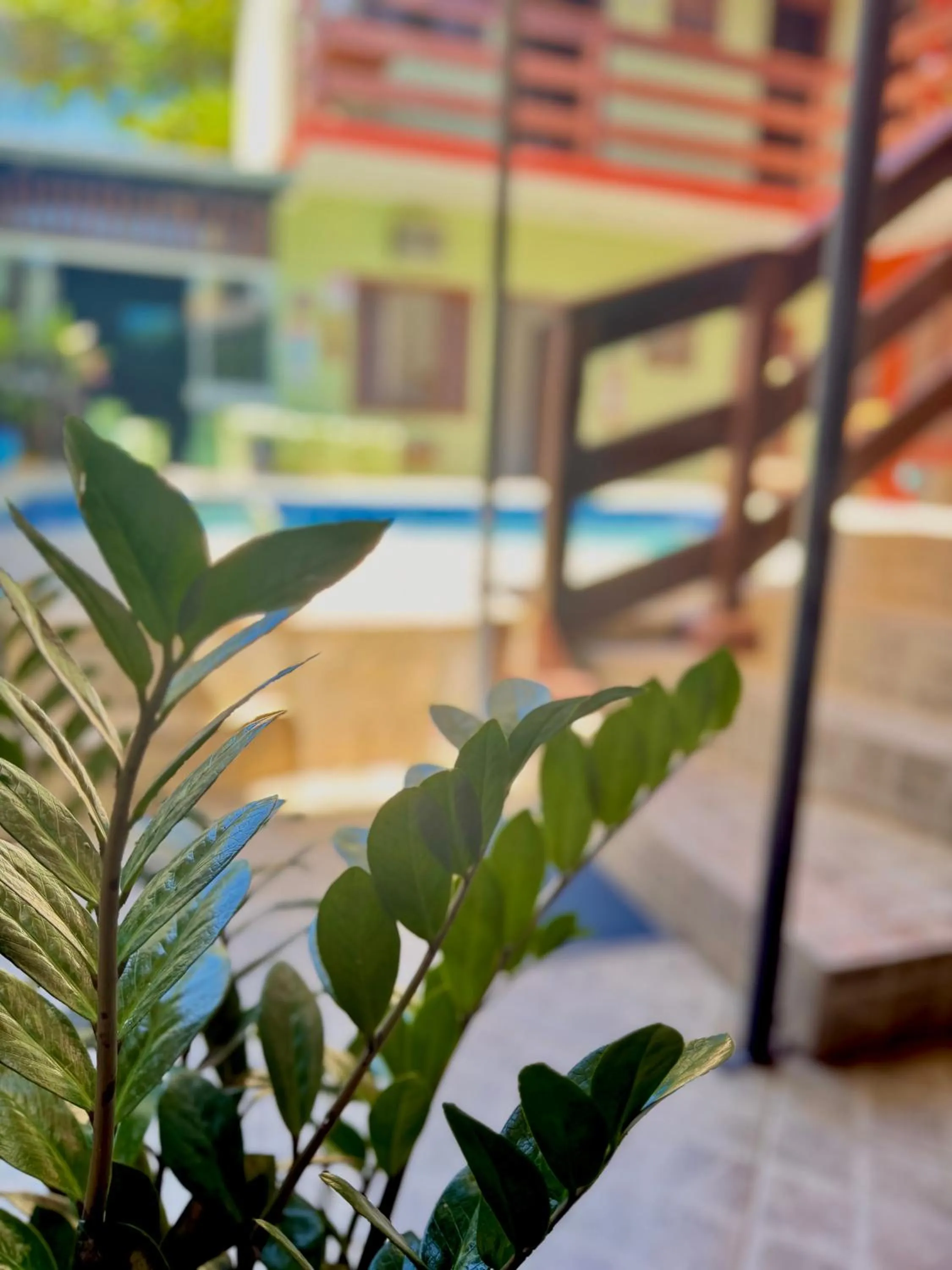 Swimming pool in Pousada Cores Do Mar