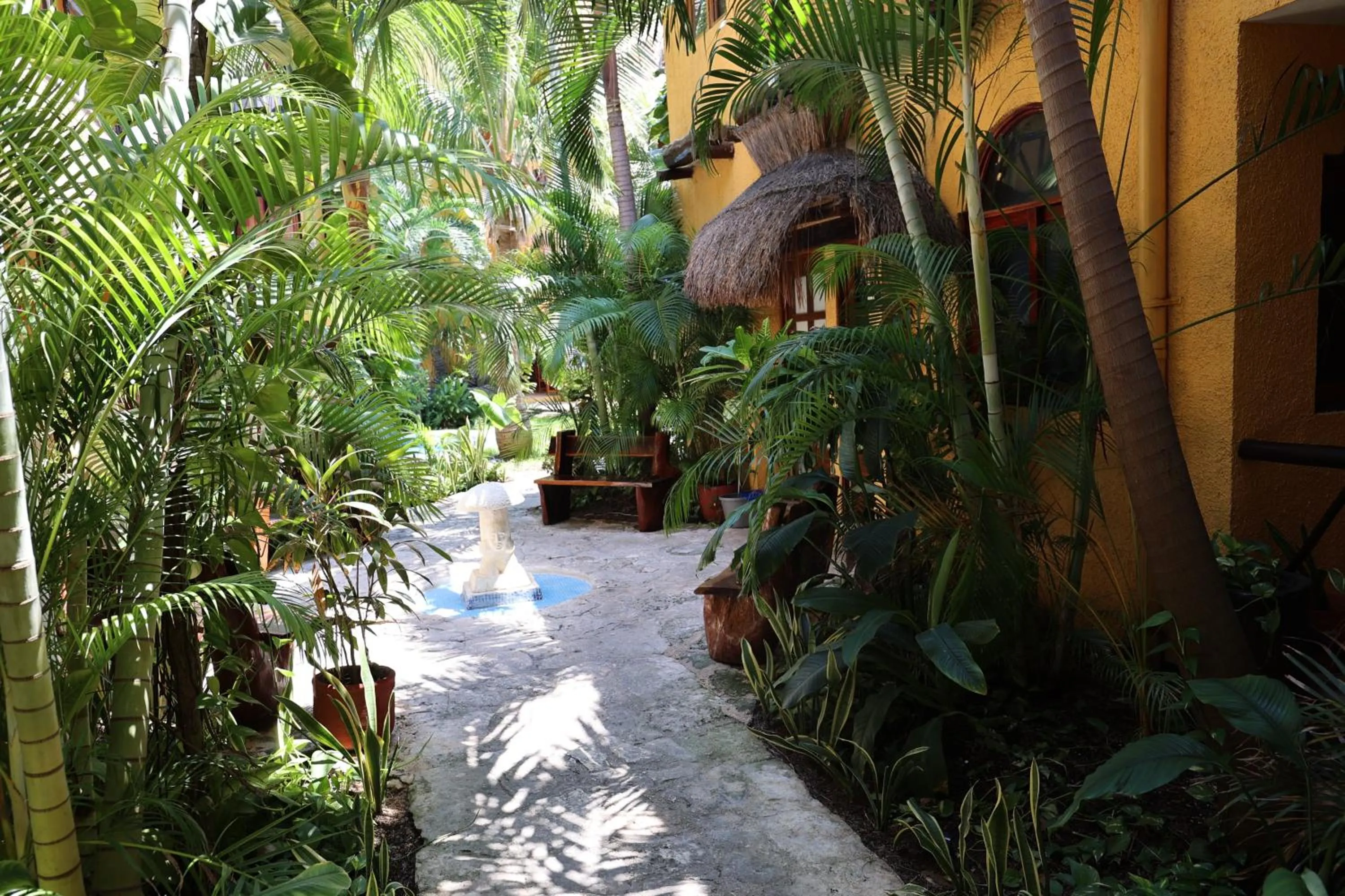 Natural landscape in Hotel Bosque Caribe, 5th Av. zone