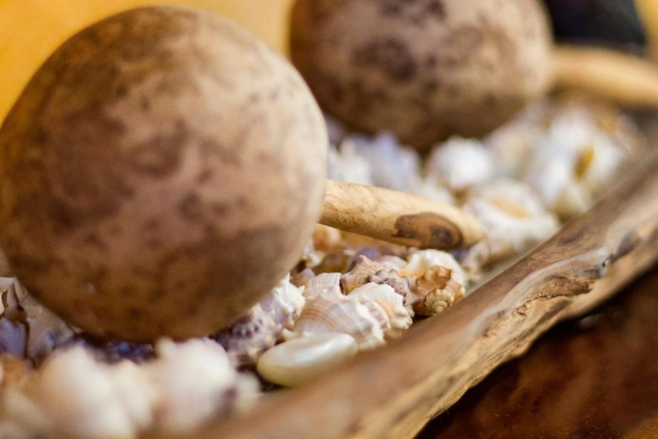 Swimming pool in Hotel Bosque Caribe, 5th Av. zone